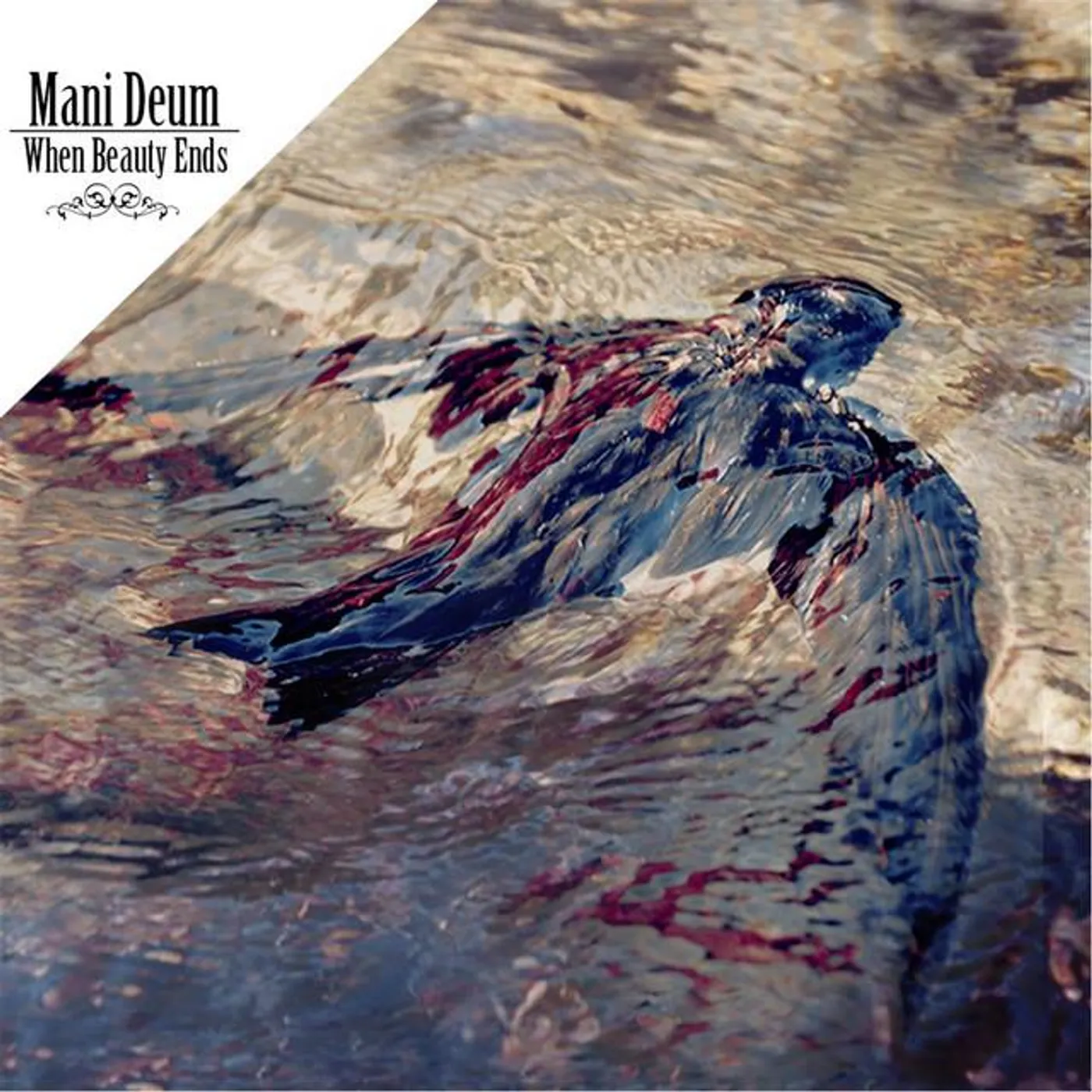 Mani Deum Brand Page