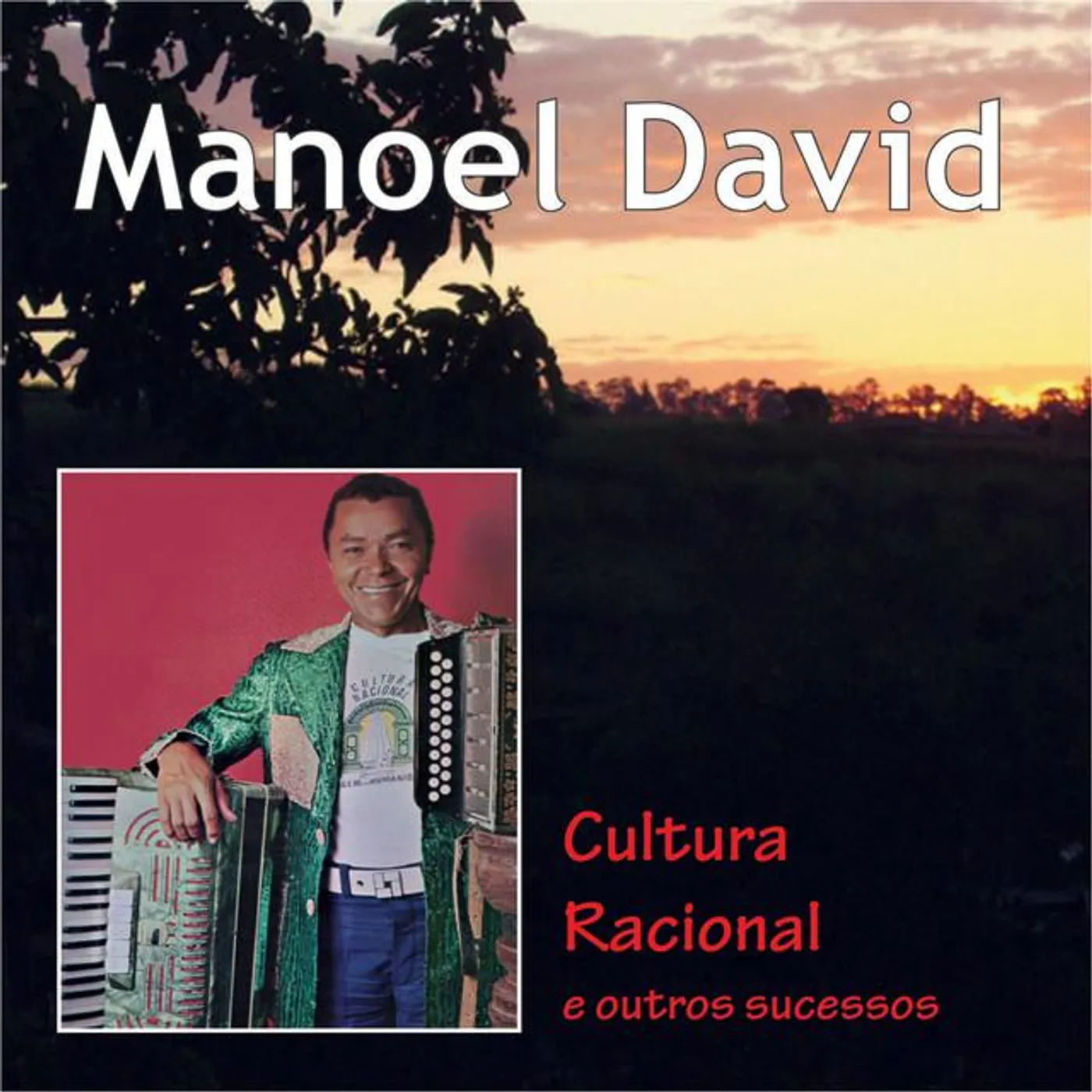 Manoel David