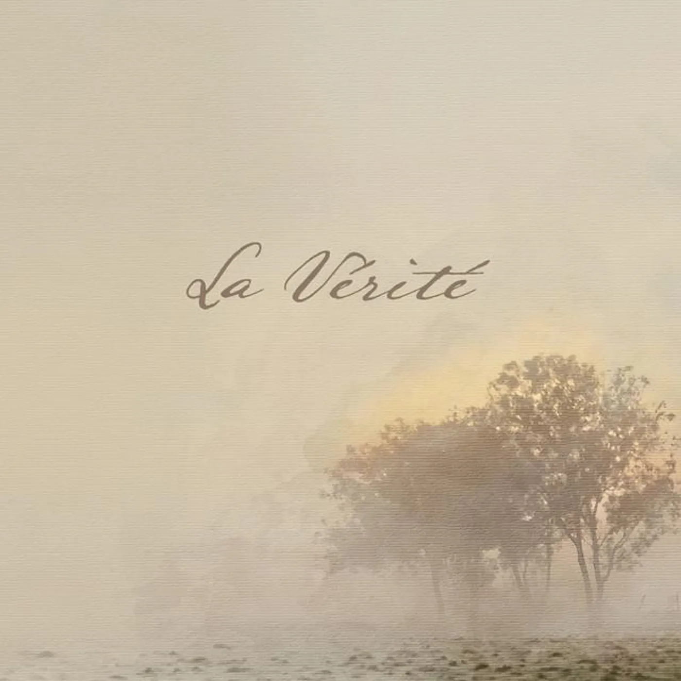 Mano Vecina Brand Page