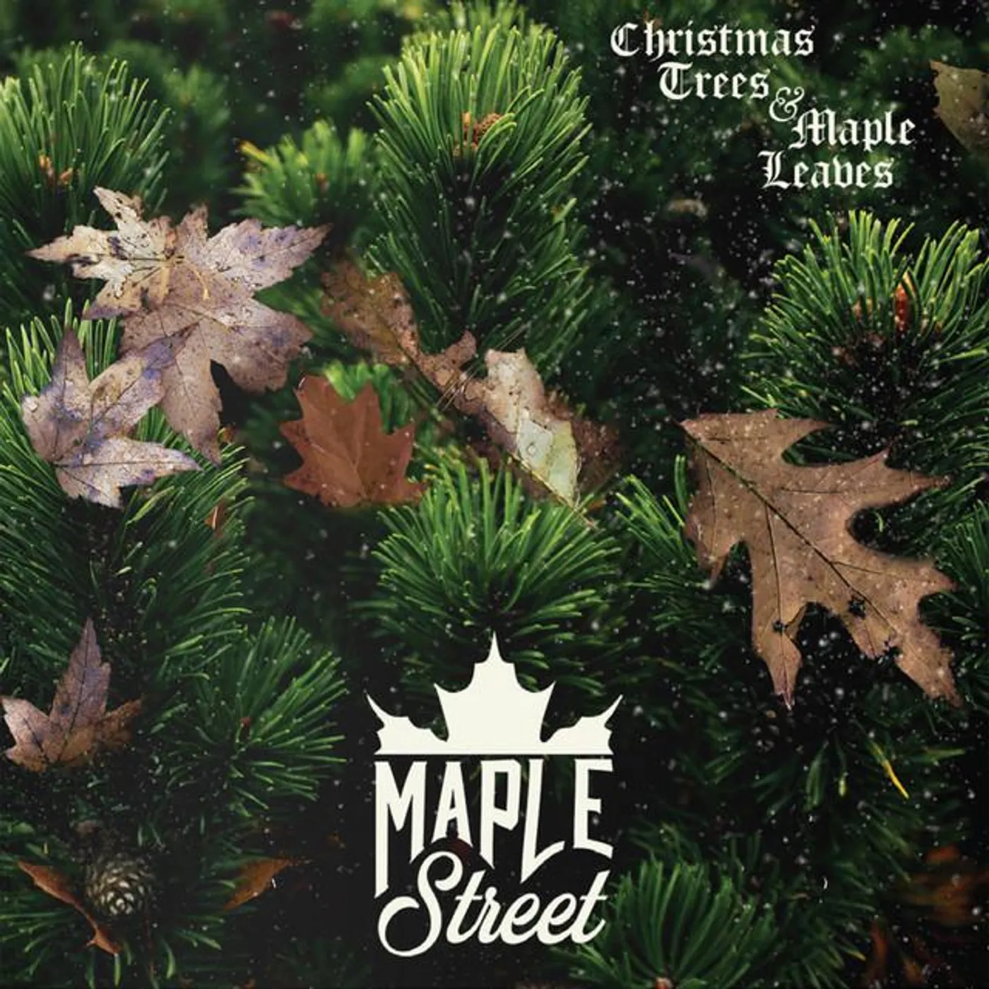 Maple Street