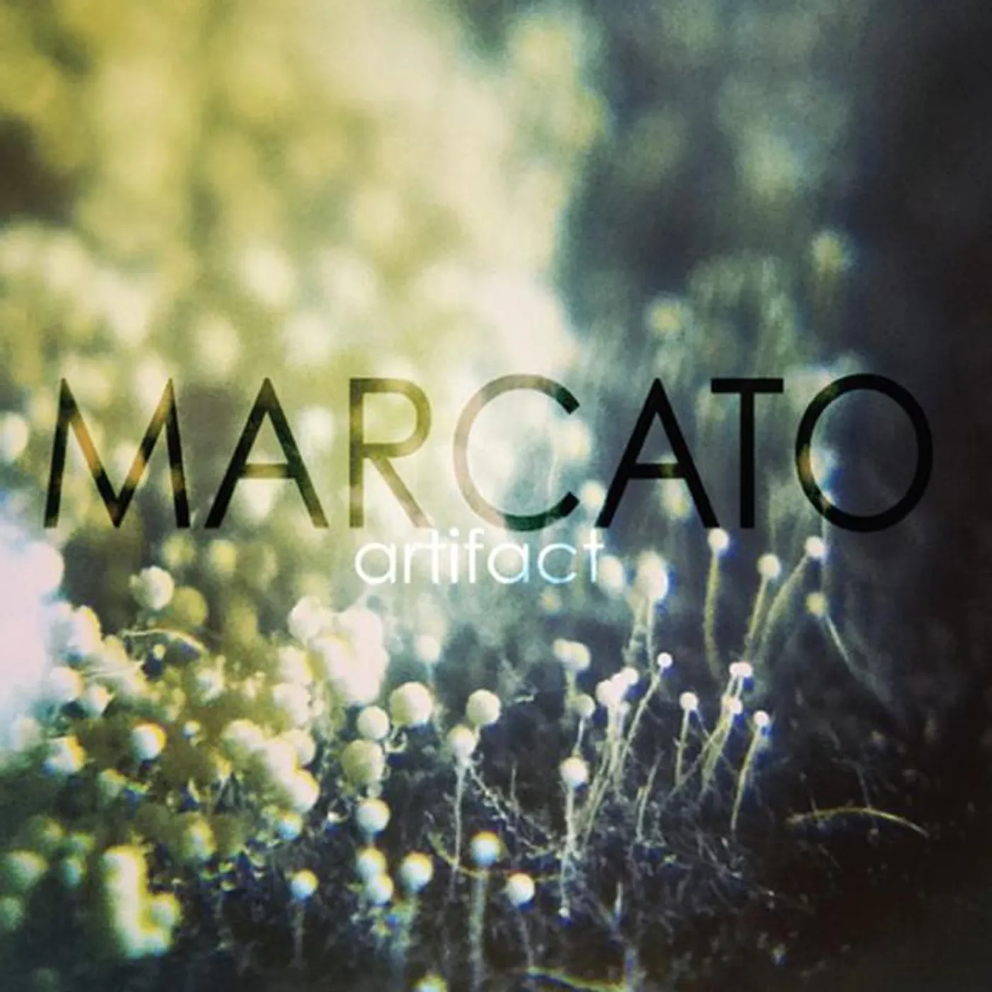 Marcato
