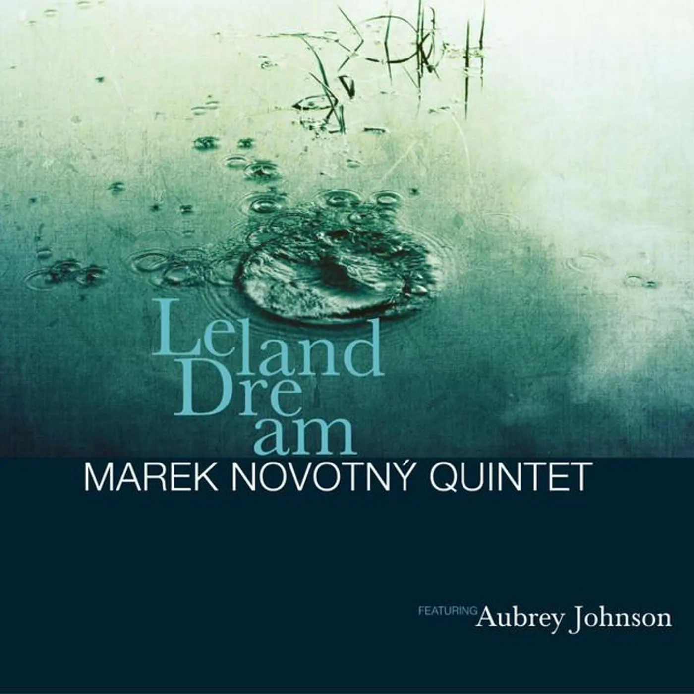 Marek Novotný Quintet