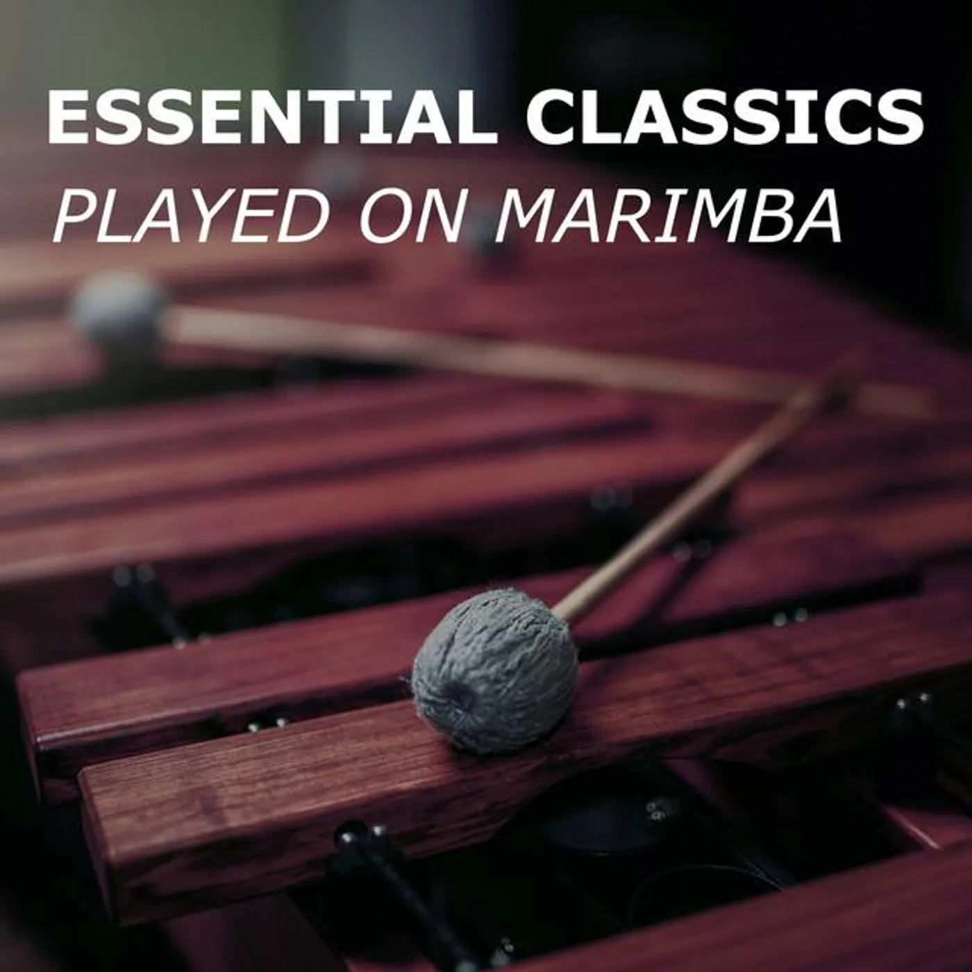 Marimba Guy