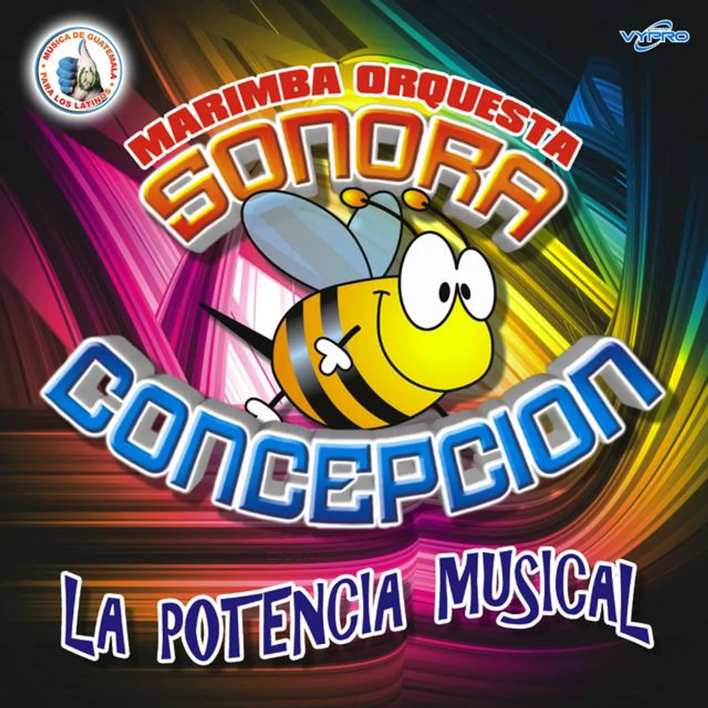 Marimba Orquesta Sonora Concepción Brand Page