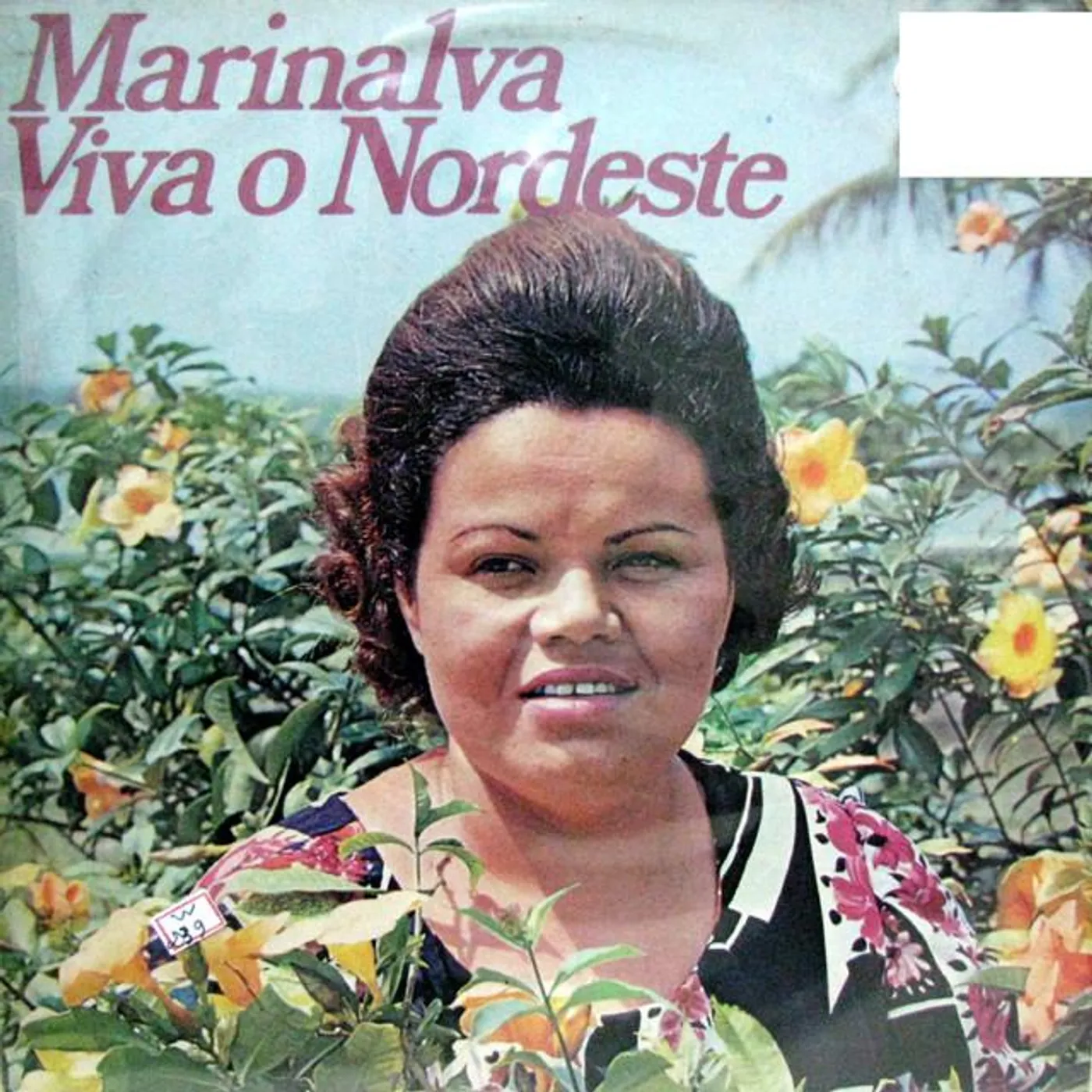 Marinalva Brand Page