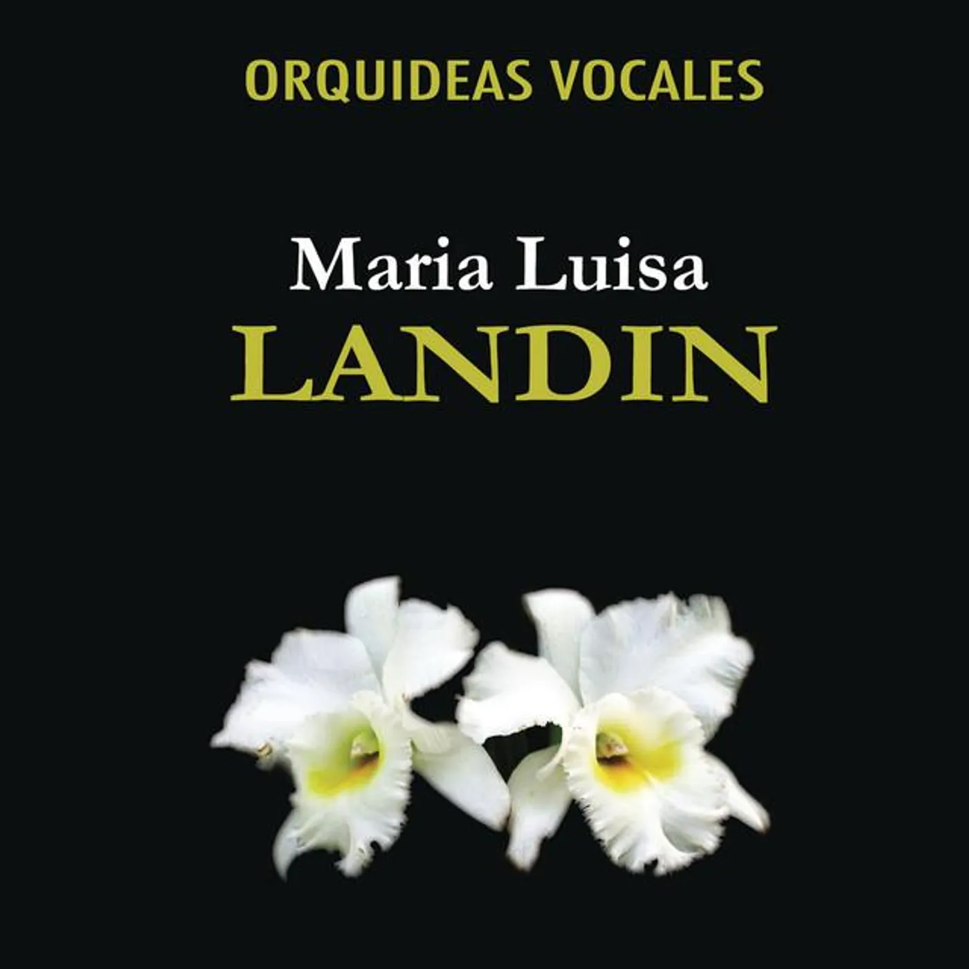 Maria Luisa Landin Brand Page