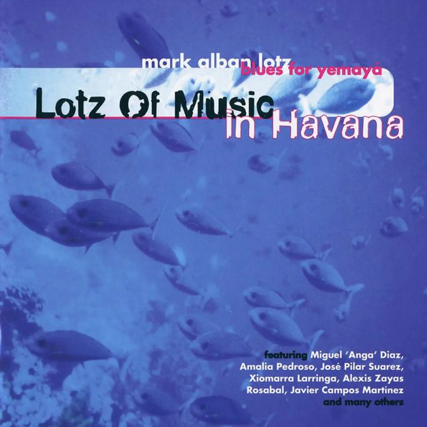 Mark Alban Lotz