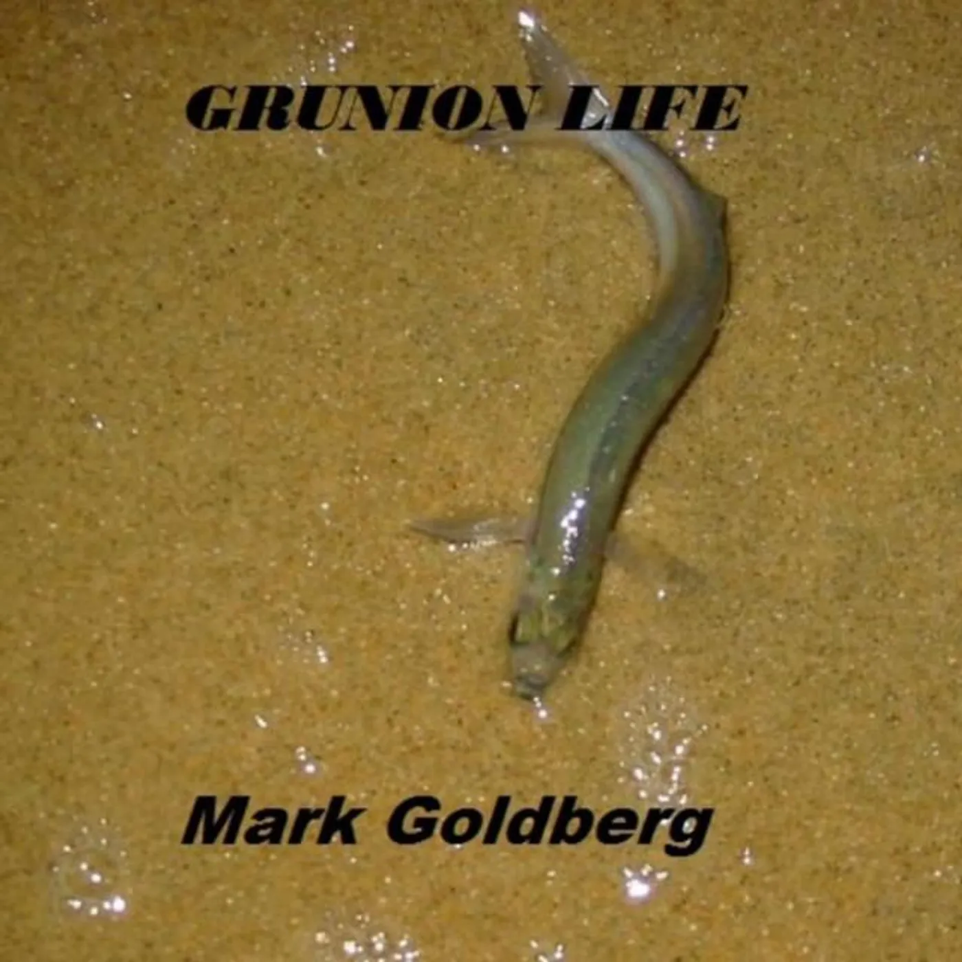Mark Goldberg Brand Page