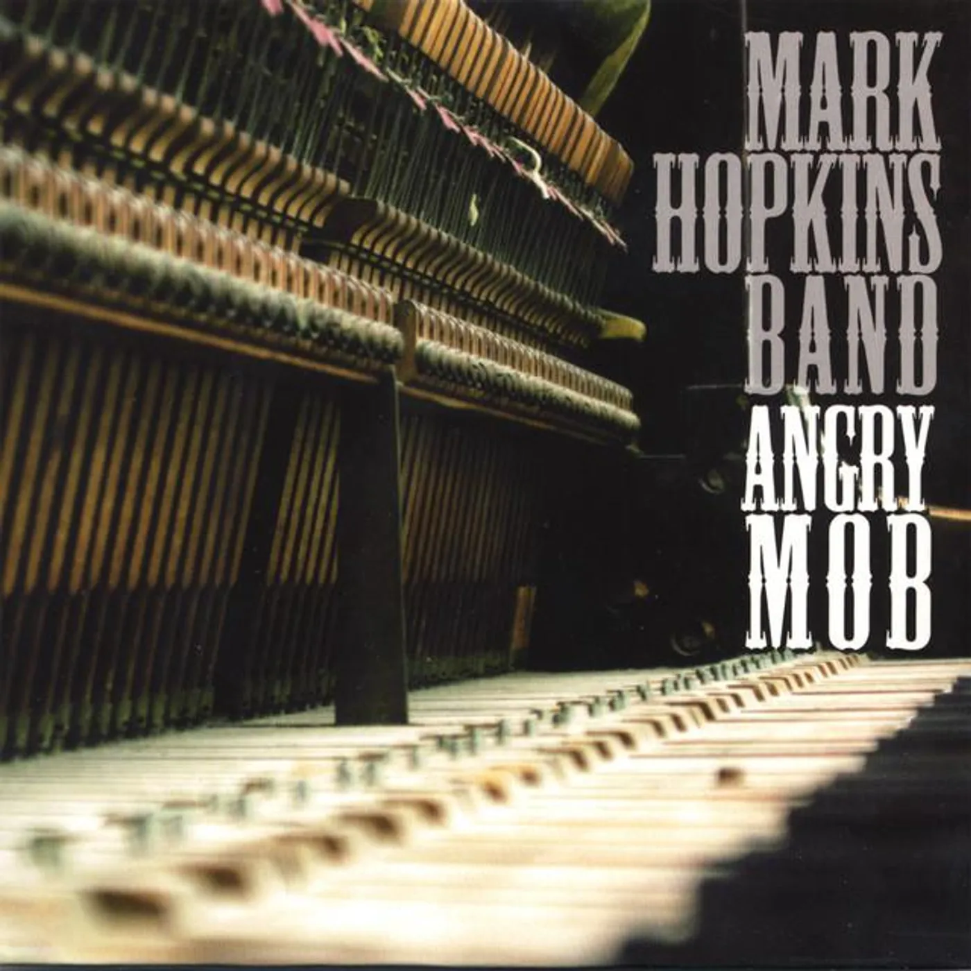 Mark Hopkins Band Brand Page