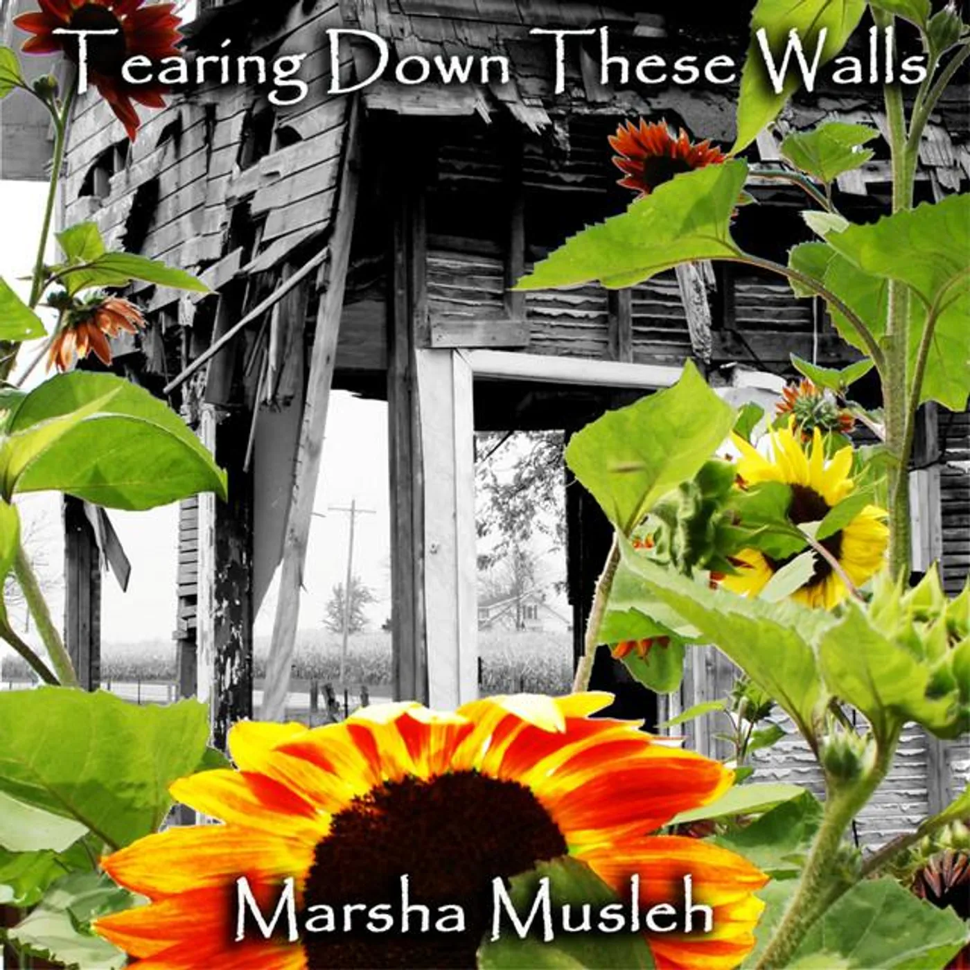 Marsha Musleh Brand Page