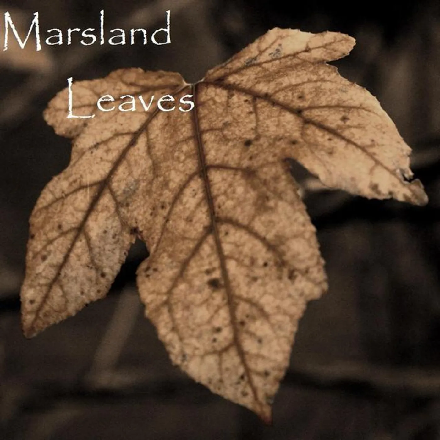 Marsland