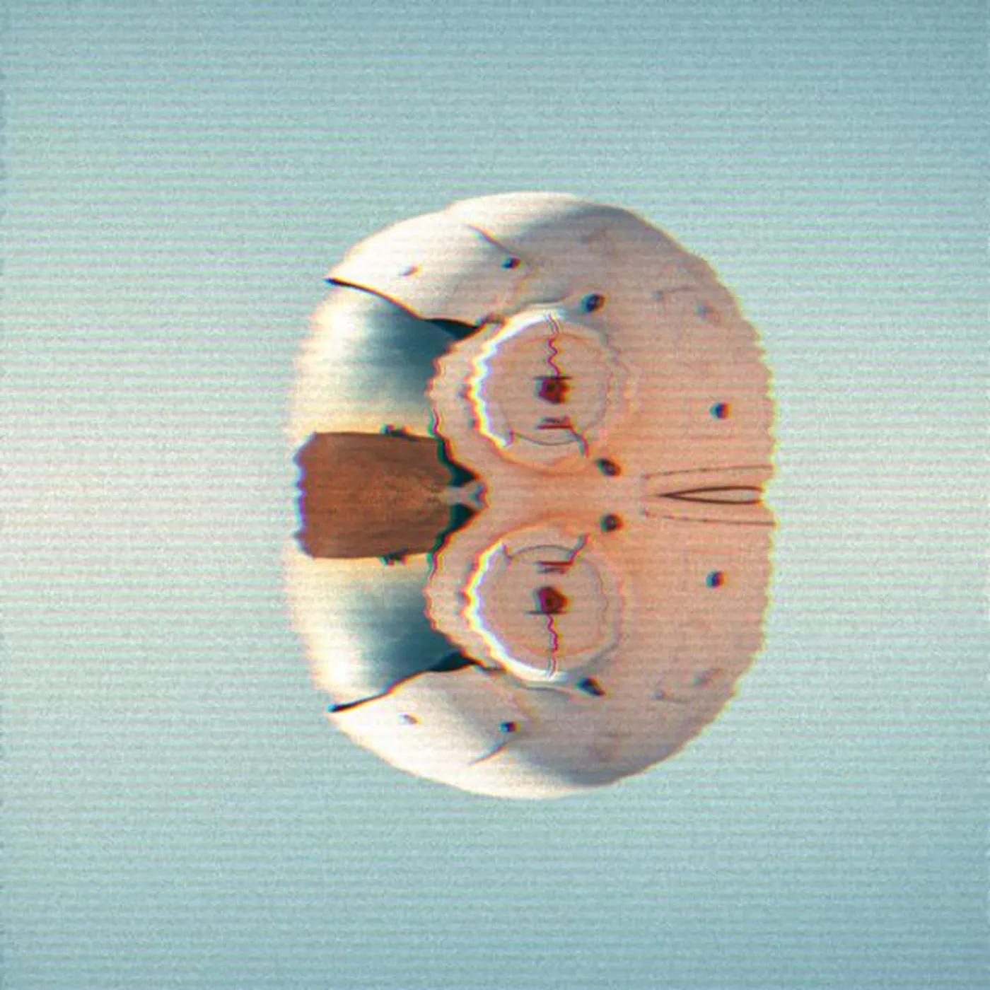 Mars Twins Brand Page