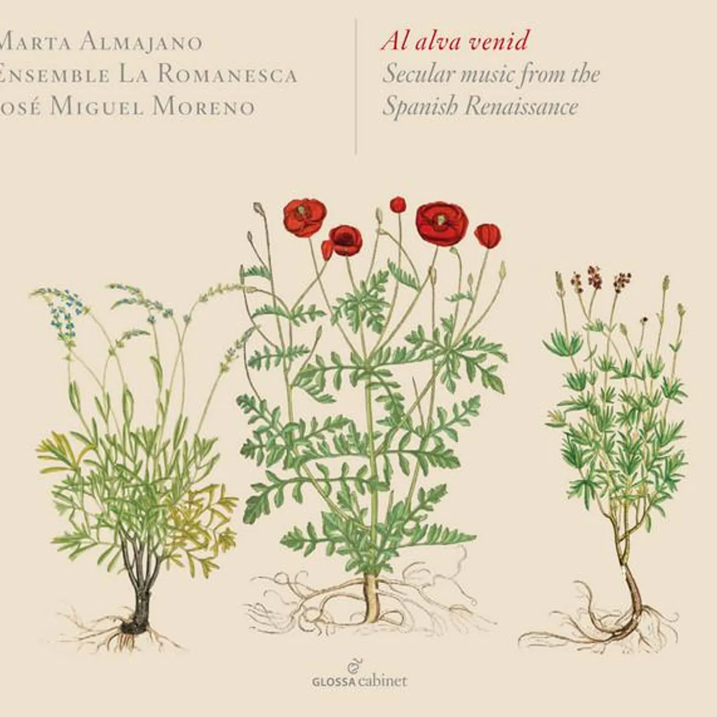 Marta Almajano Brand Page