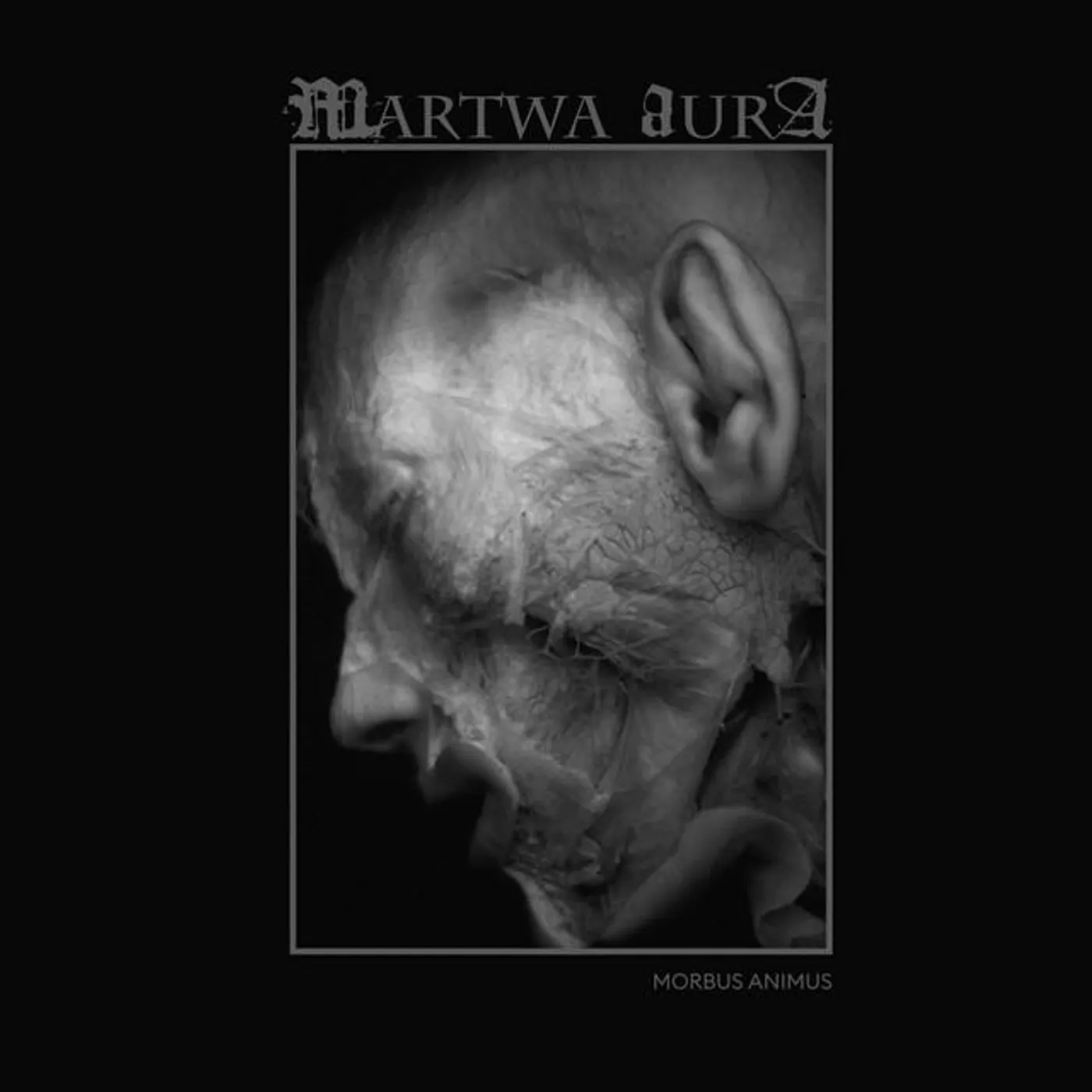 Martwa Aura Brand Page