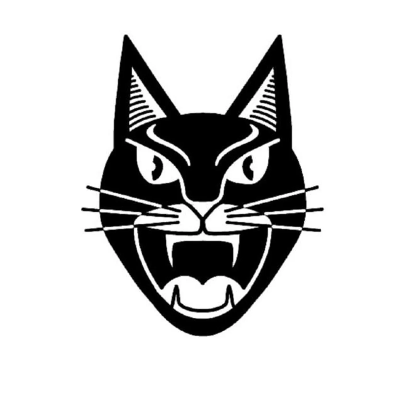 Mean Black Cat