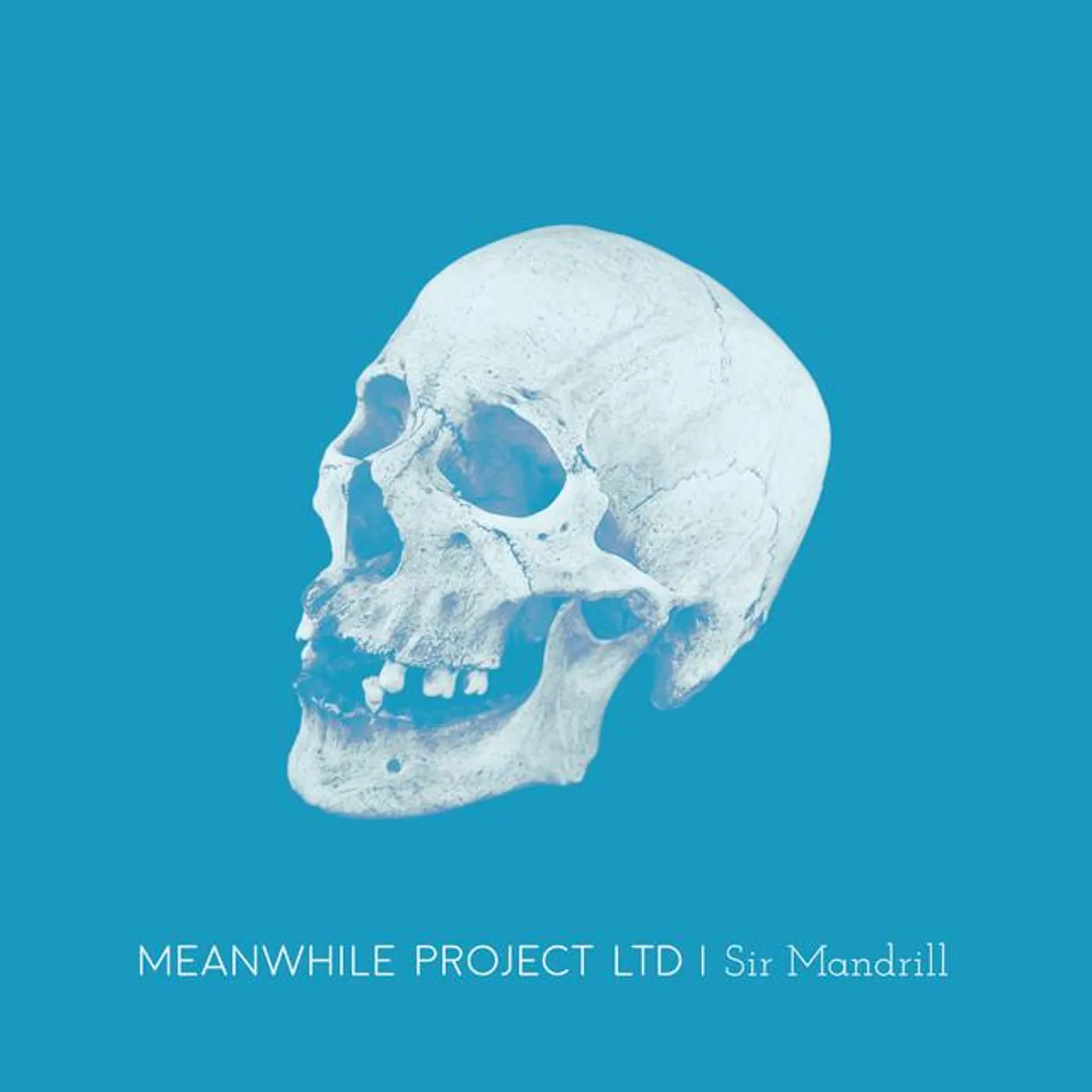 Meanwhile Project Ltd