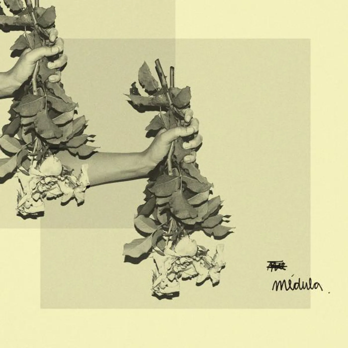 Medula Brand Page