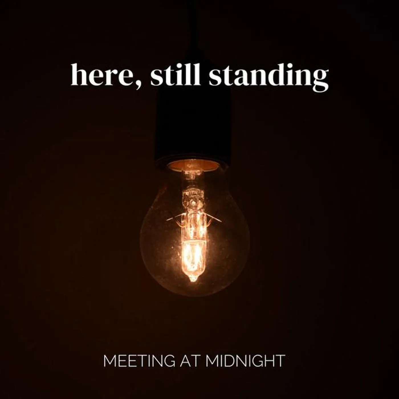Meeting At Midnight Brand Page