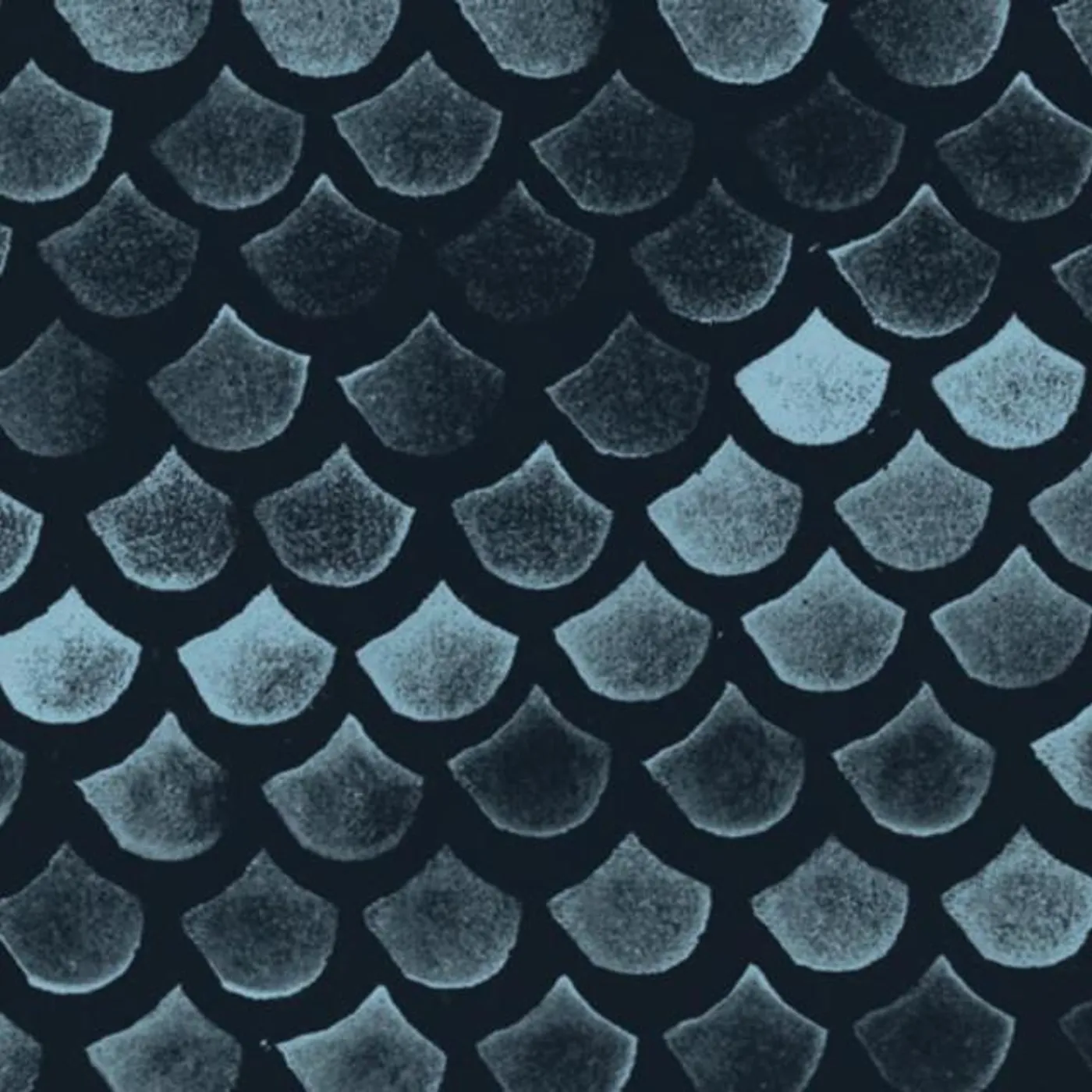 Megalodon Collective