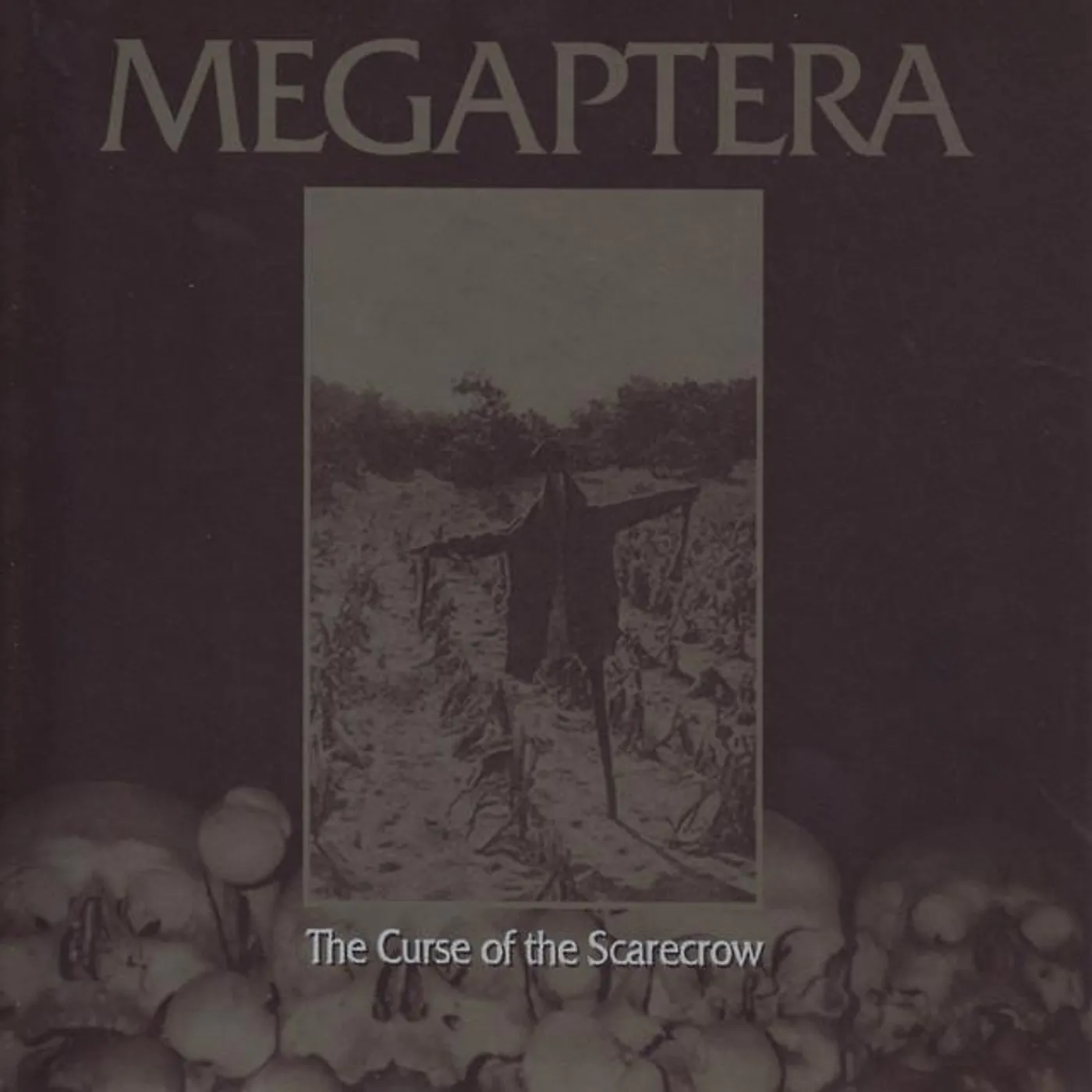 Megaptera Brand Page