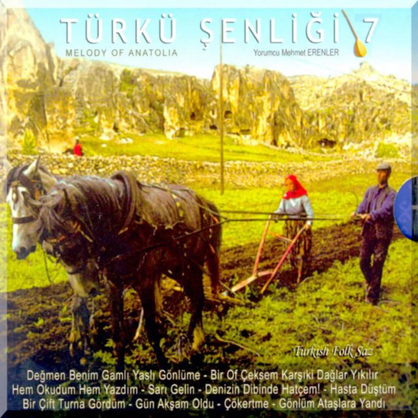 Mehmet Erenler