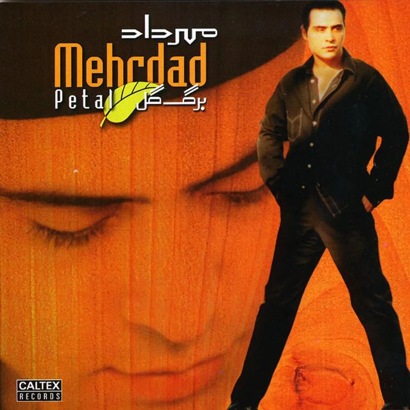 Mehrdad Asemani Brand Page