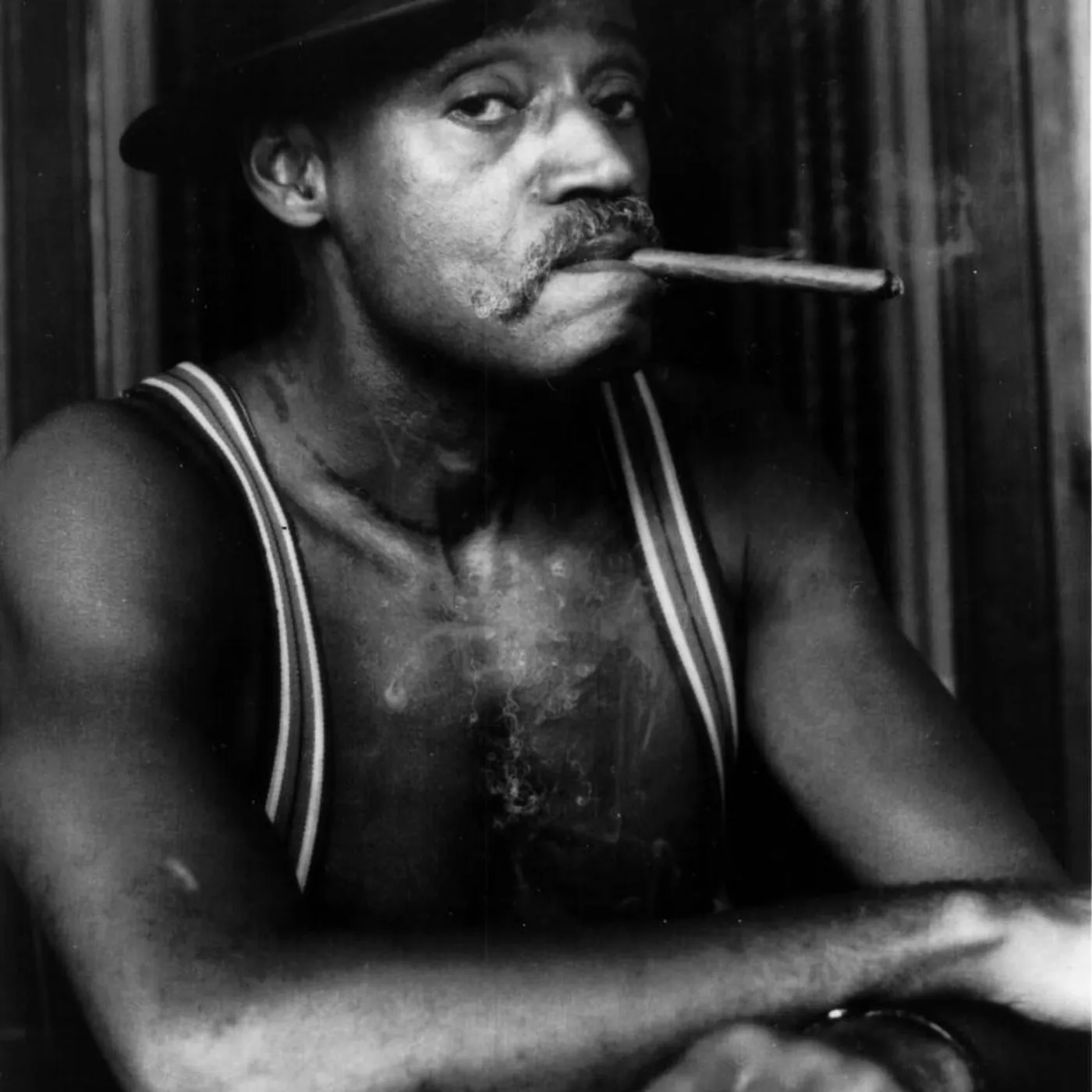 Melvin Van Peebles Brand Page