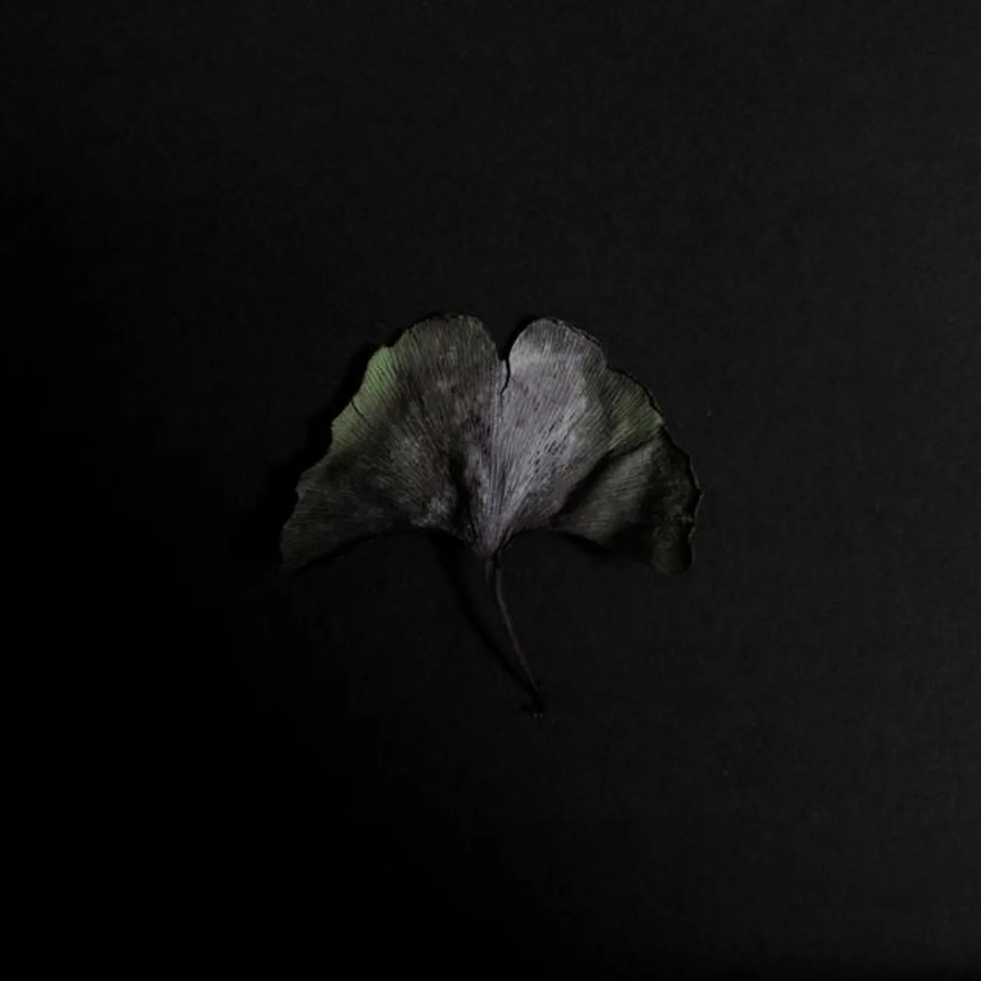 Memorials Brand Page
