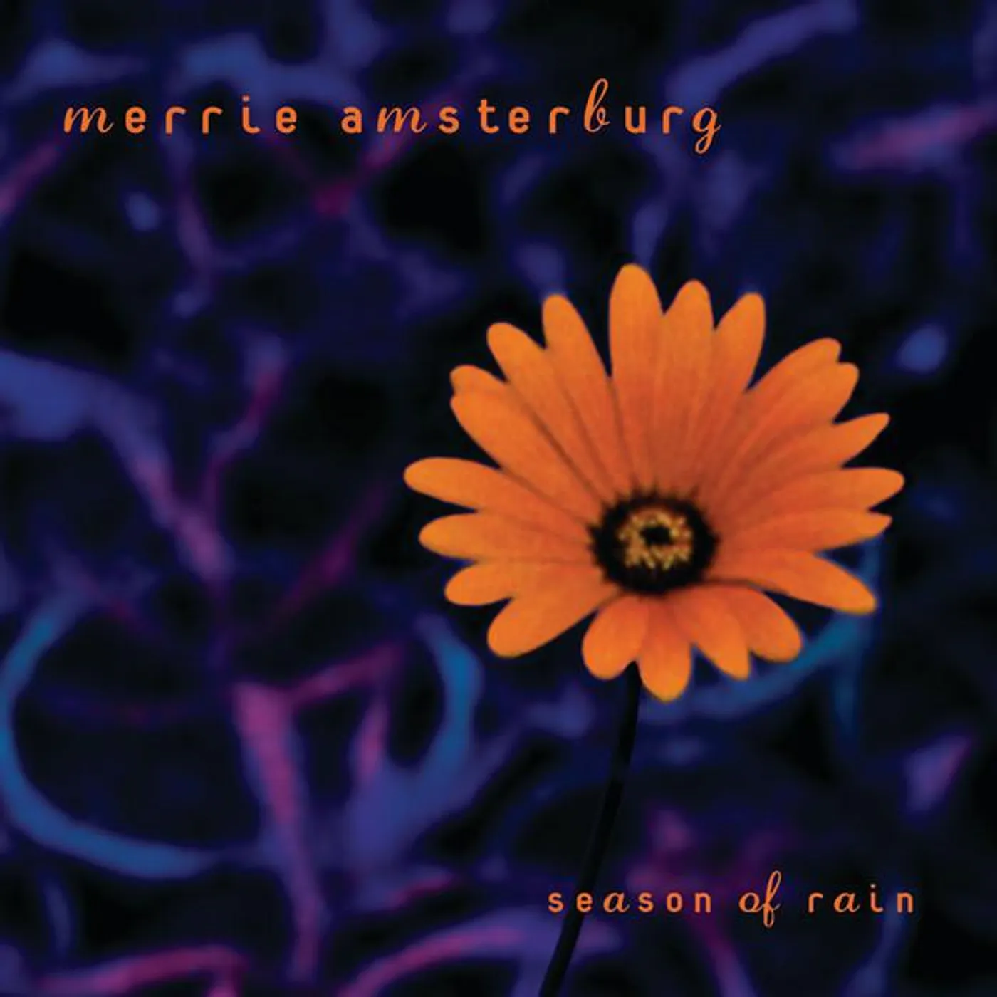 Merrie Amsterburg Brand Page