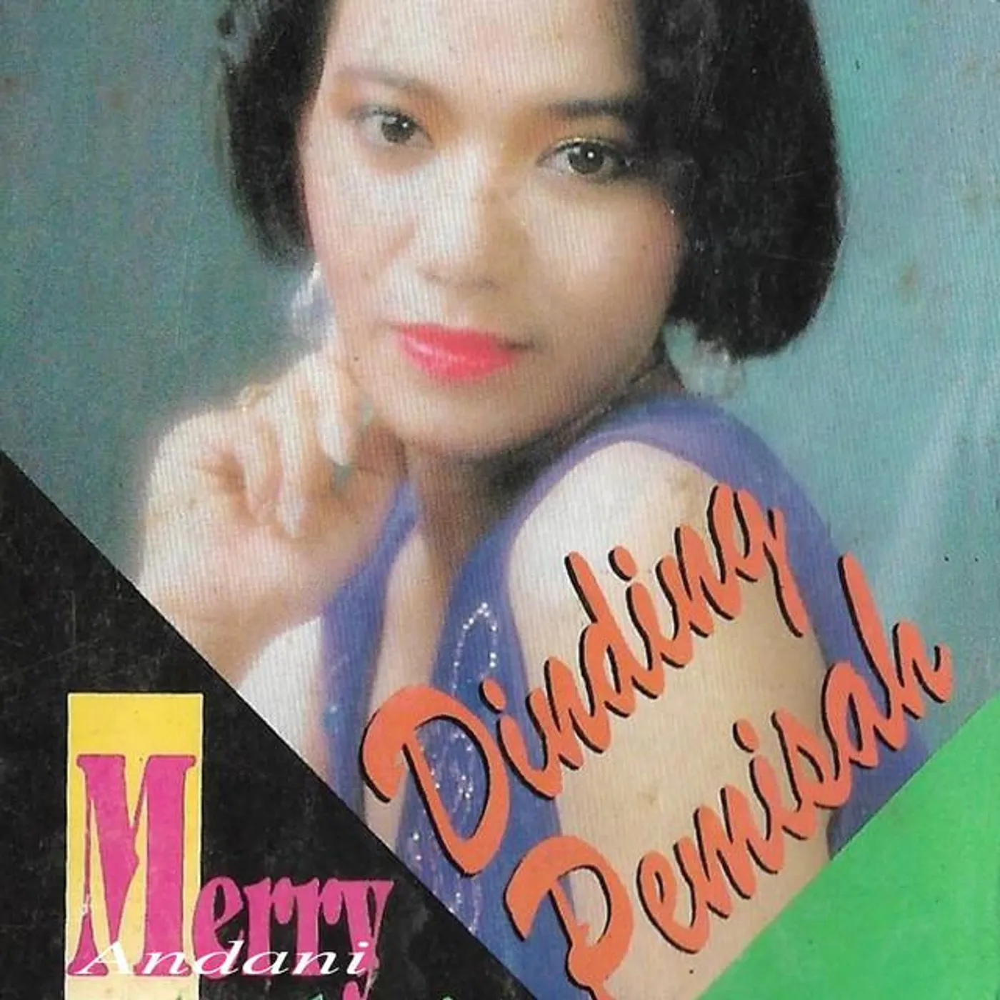 Merry Andani