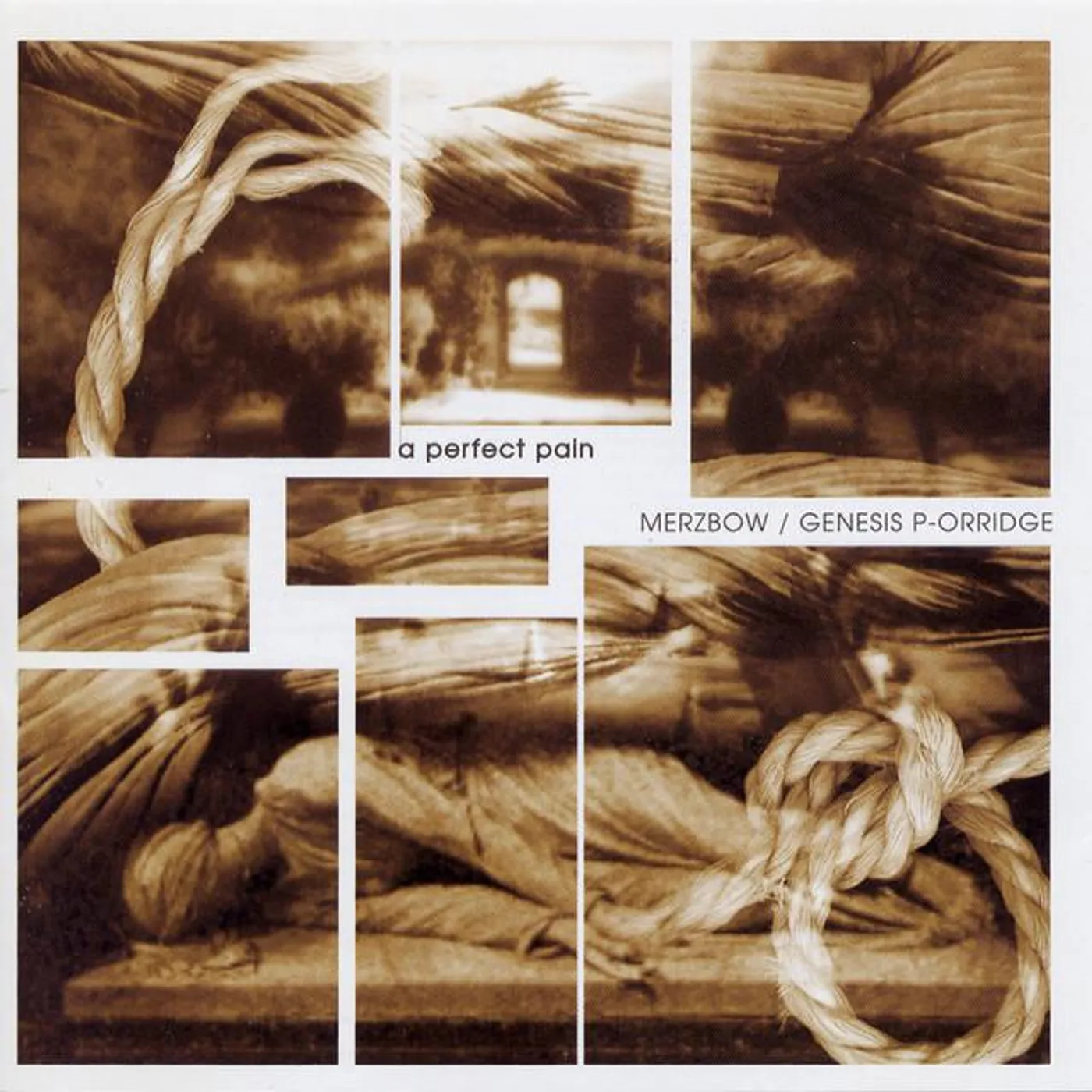 Merzbow / Genesis P-Orridge
