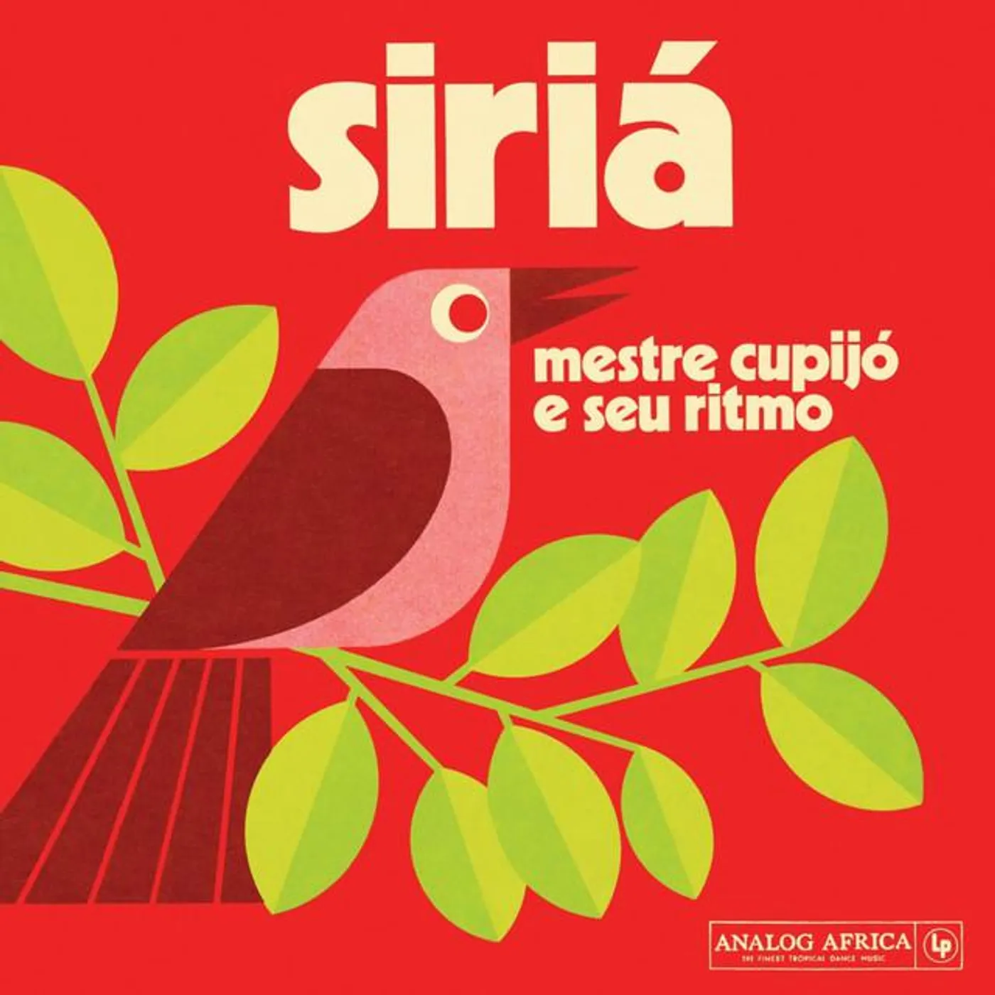 Mestre Cupijó e Seu Ritmo Brand Page