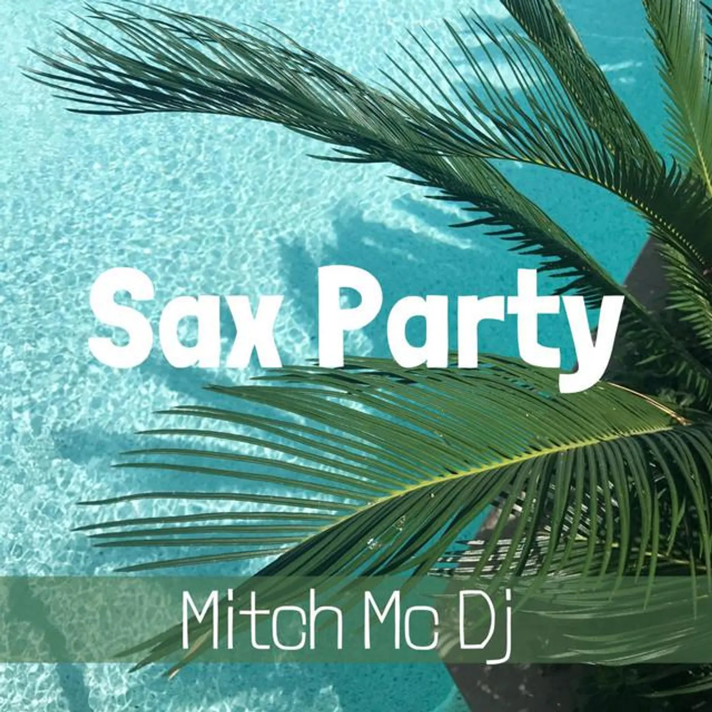 Mitch MC DJ
