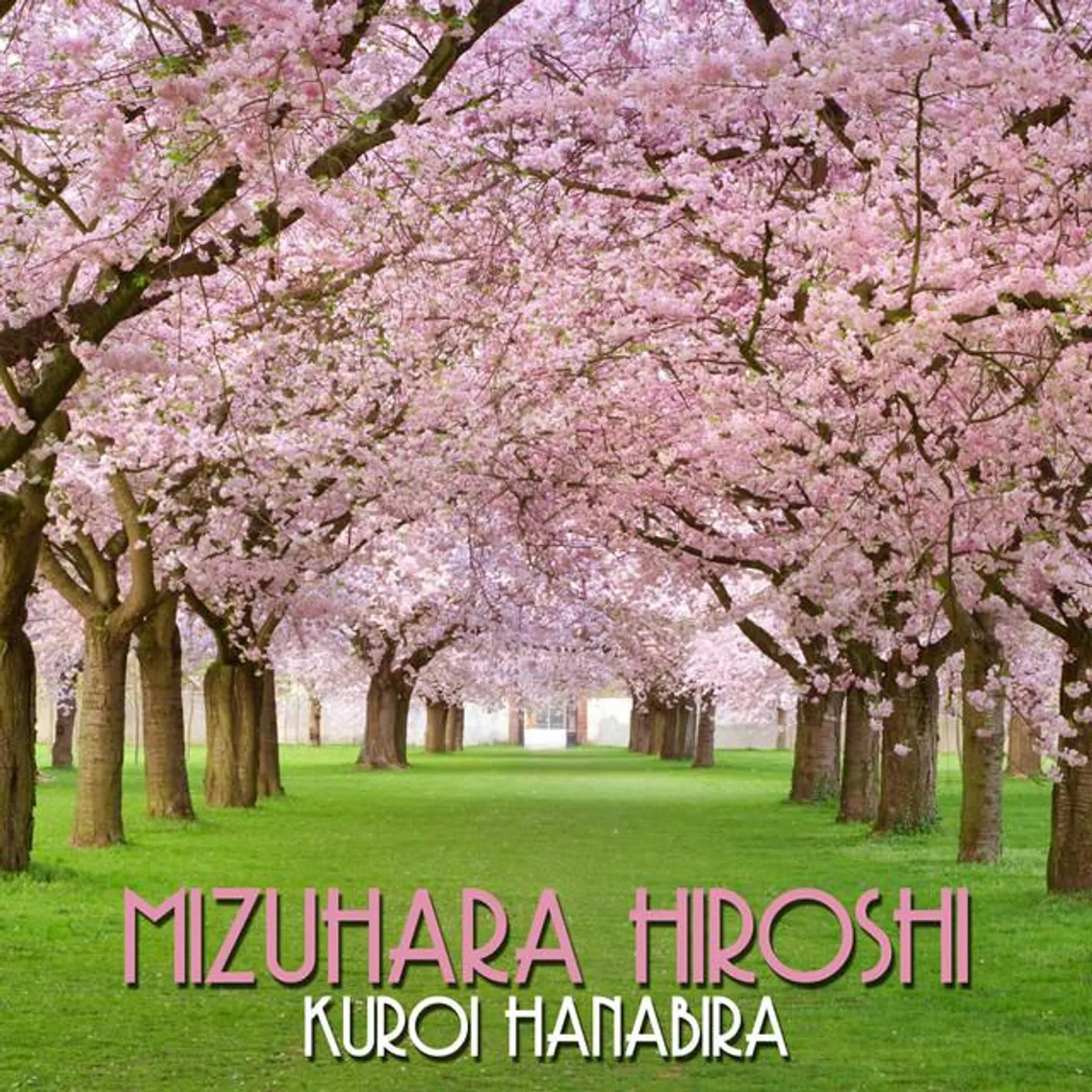 Mizuhara Hiroshi