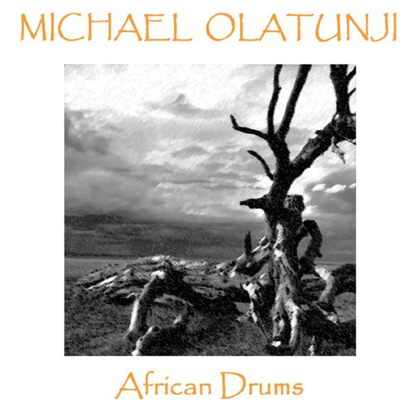 Michael Olatunji