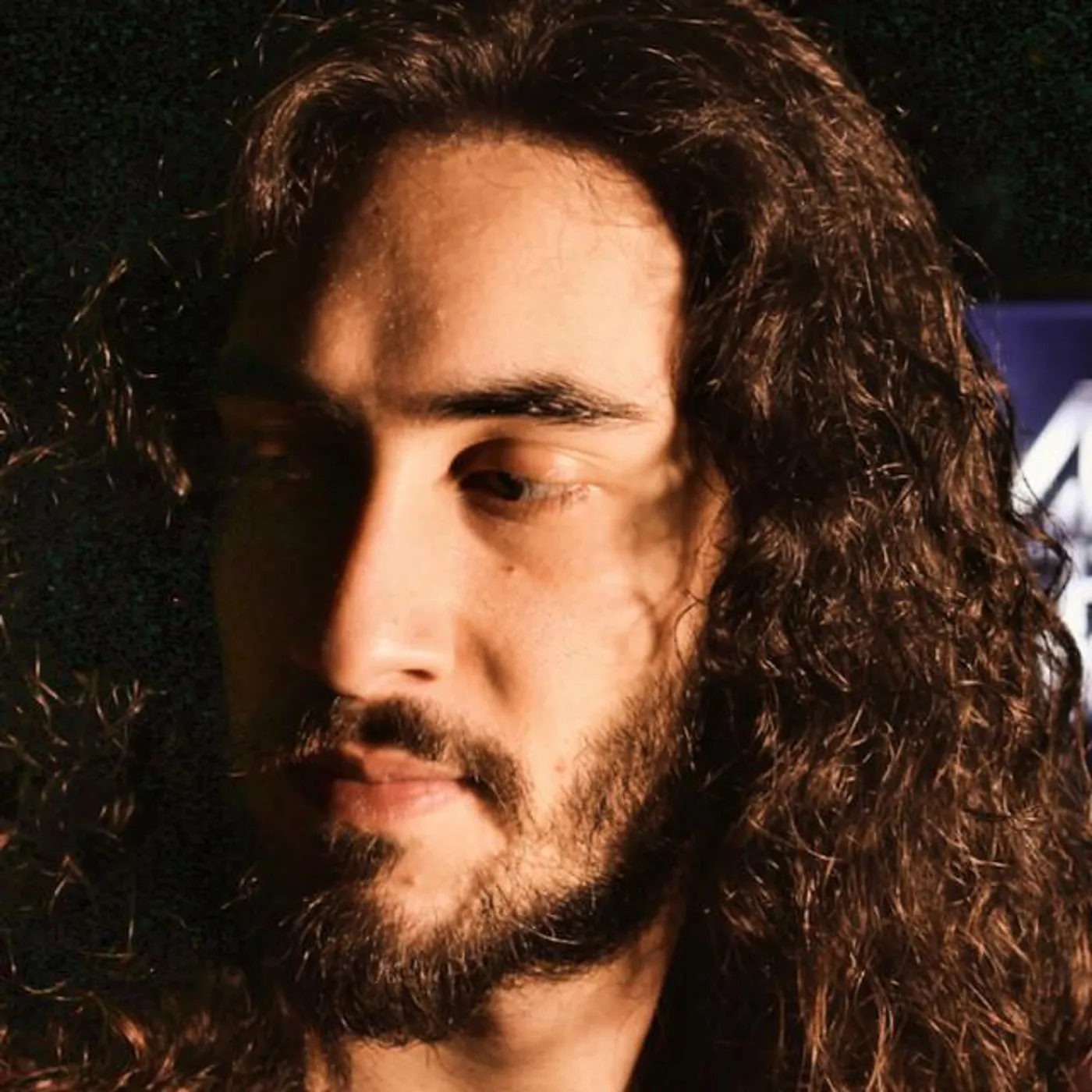 Michael Sciabbarrasi