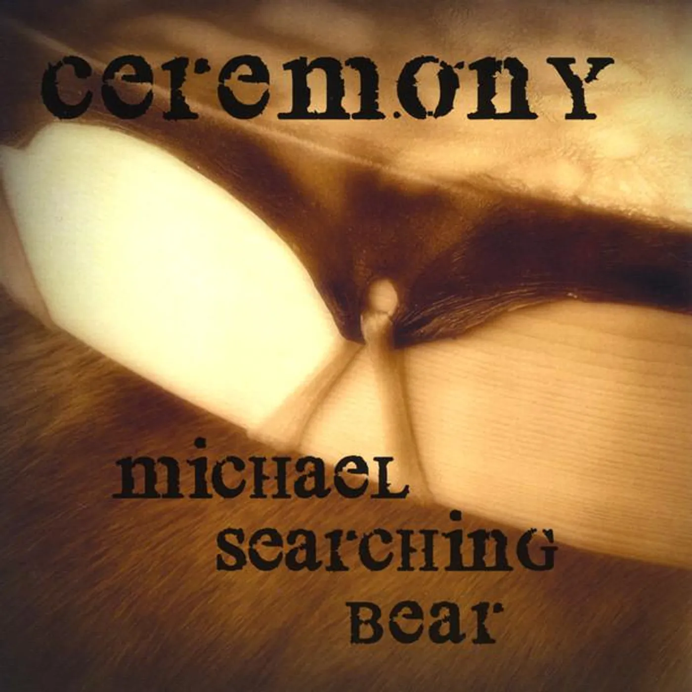 Michael Searching Bear