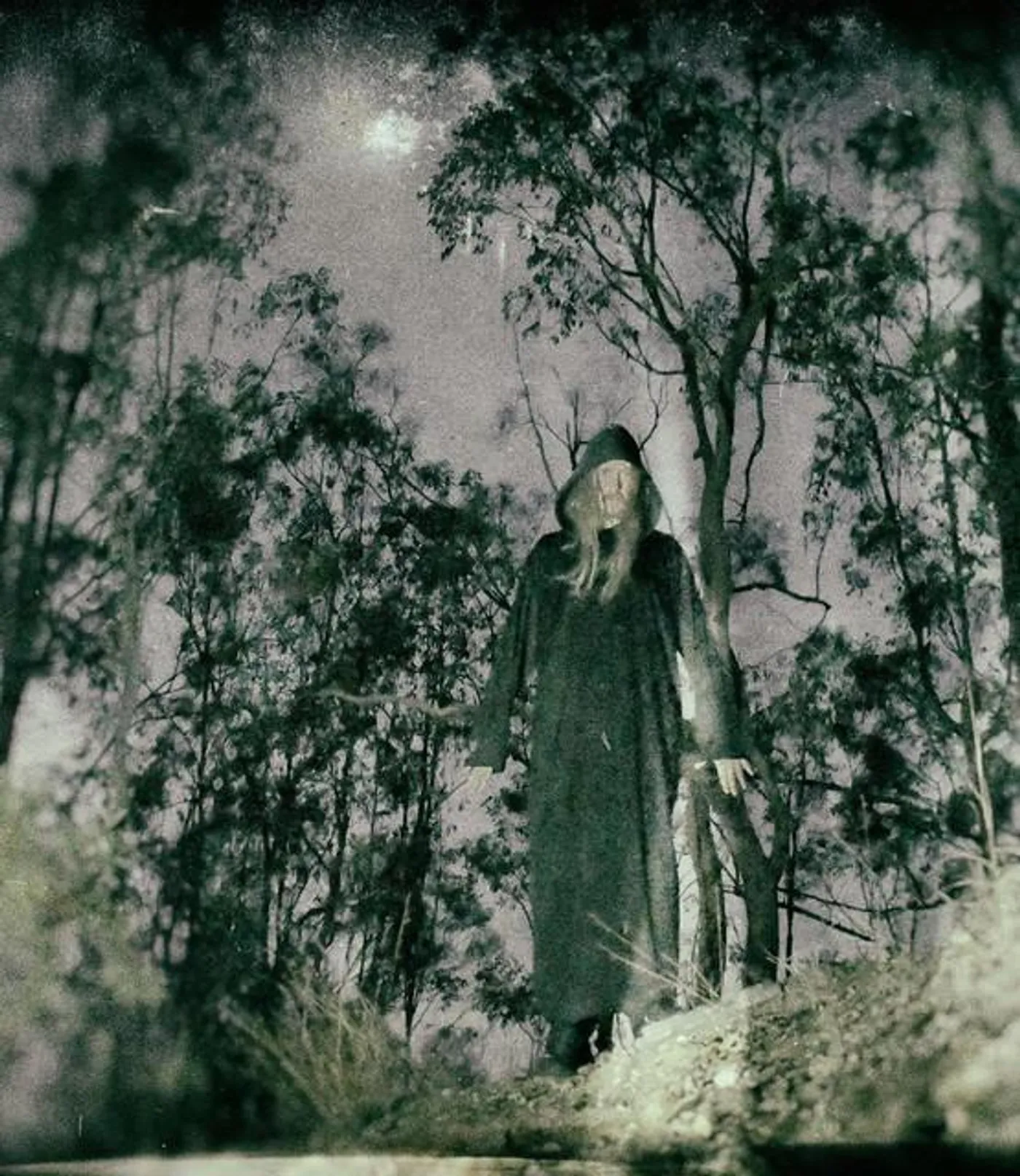 Midnight Odyssey