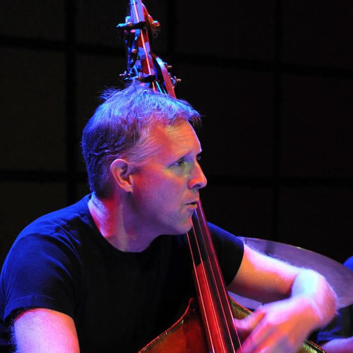 Mike Downes Brand Page