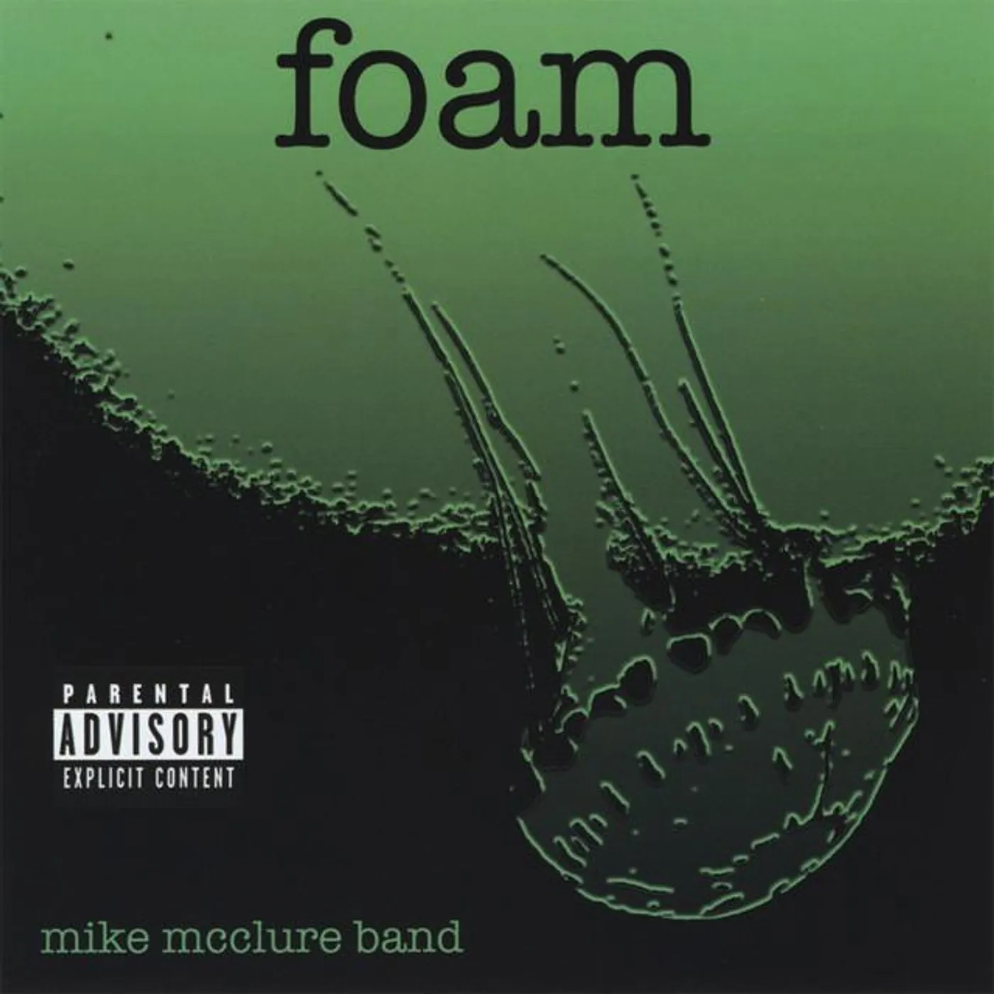 Mike McClure Band