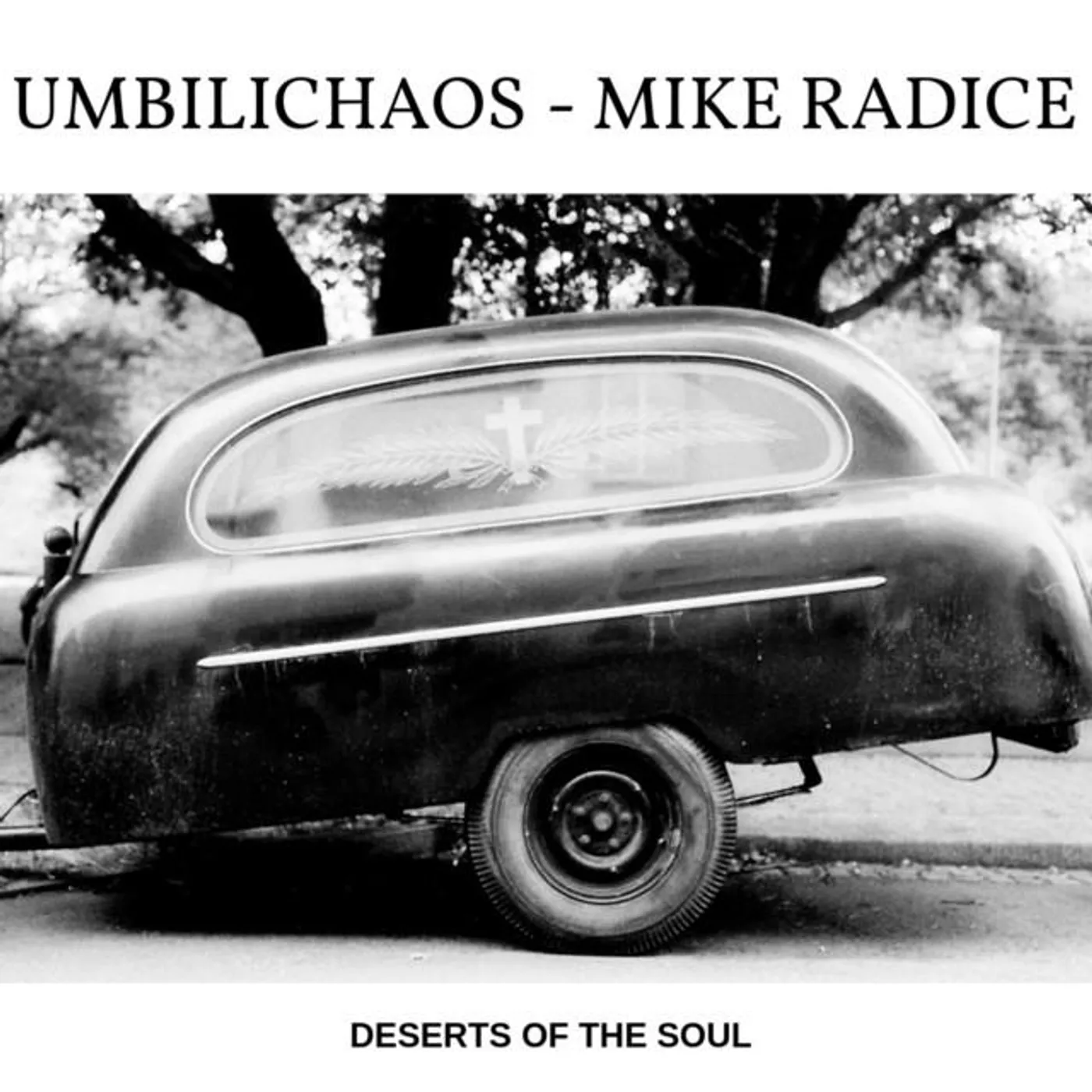 Mike Radice Brand Page