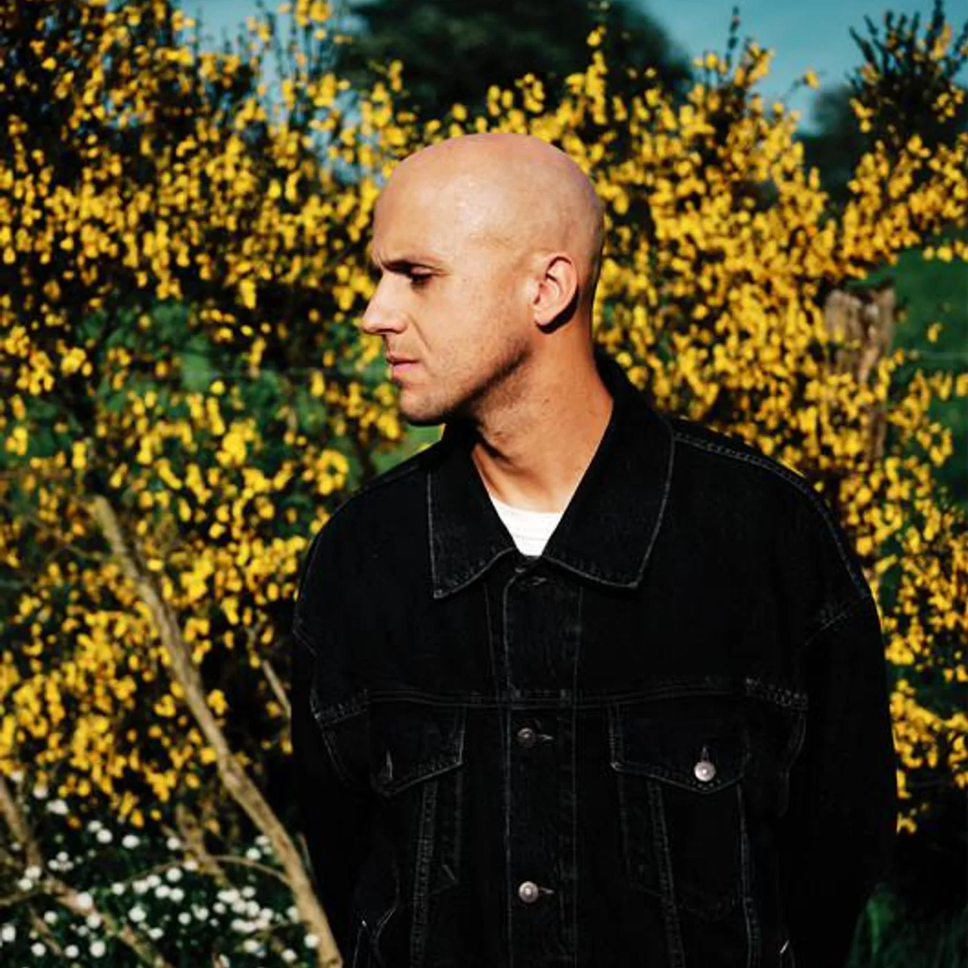 Milow Brand Page