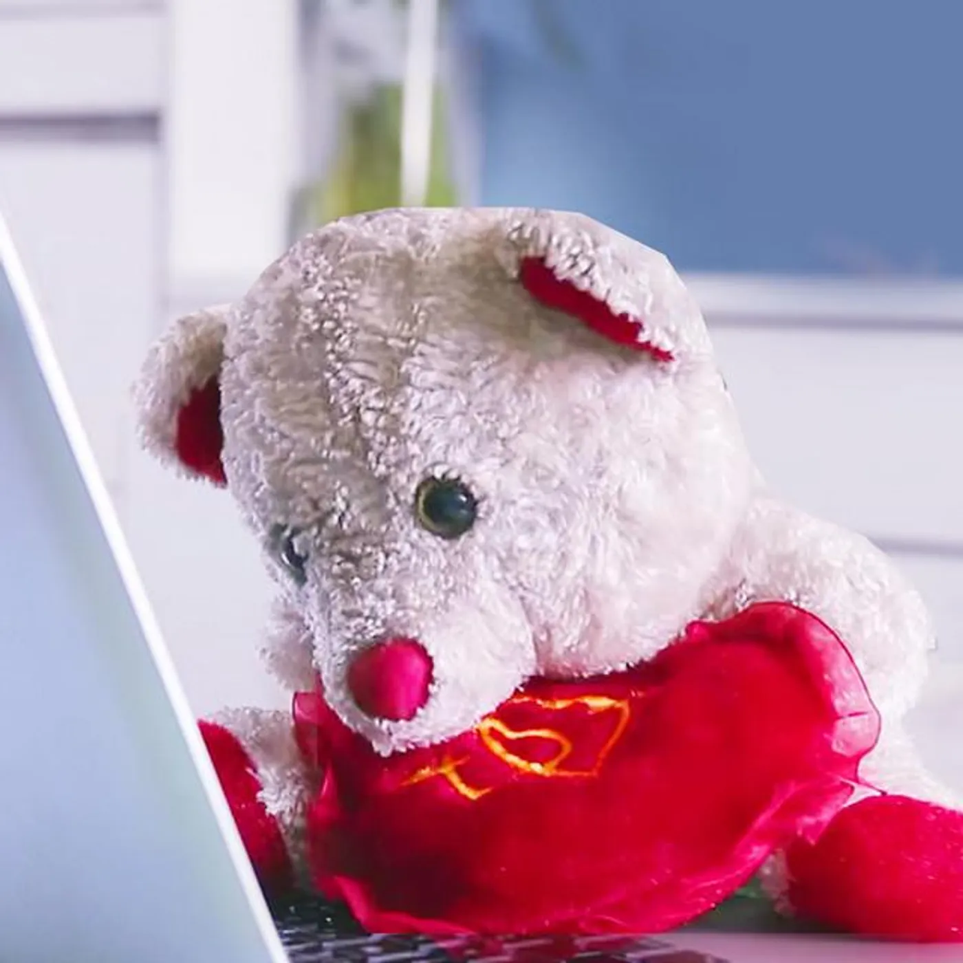 Mimi Teddy