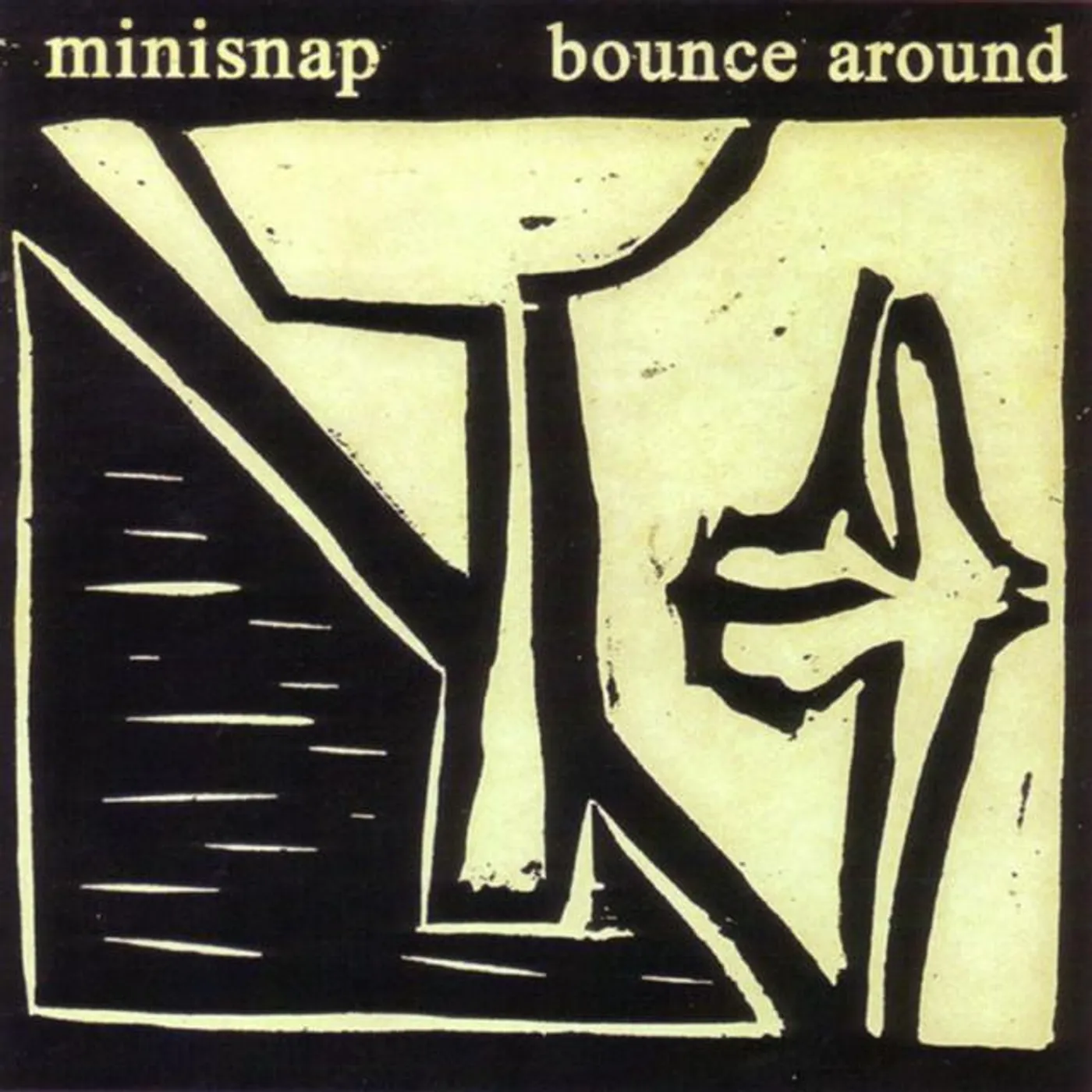 Minisnap
