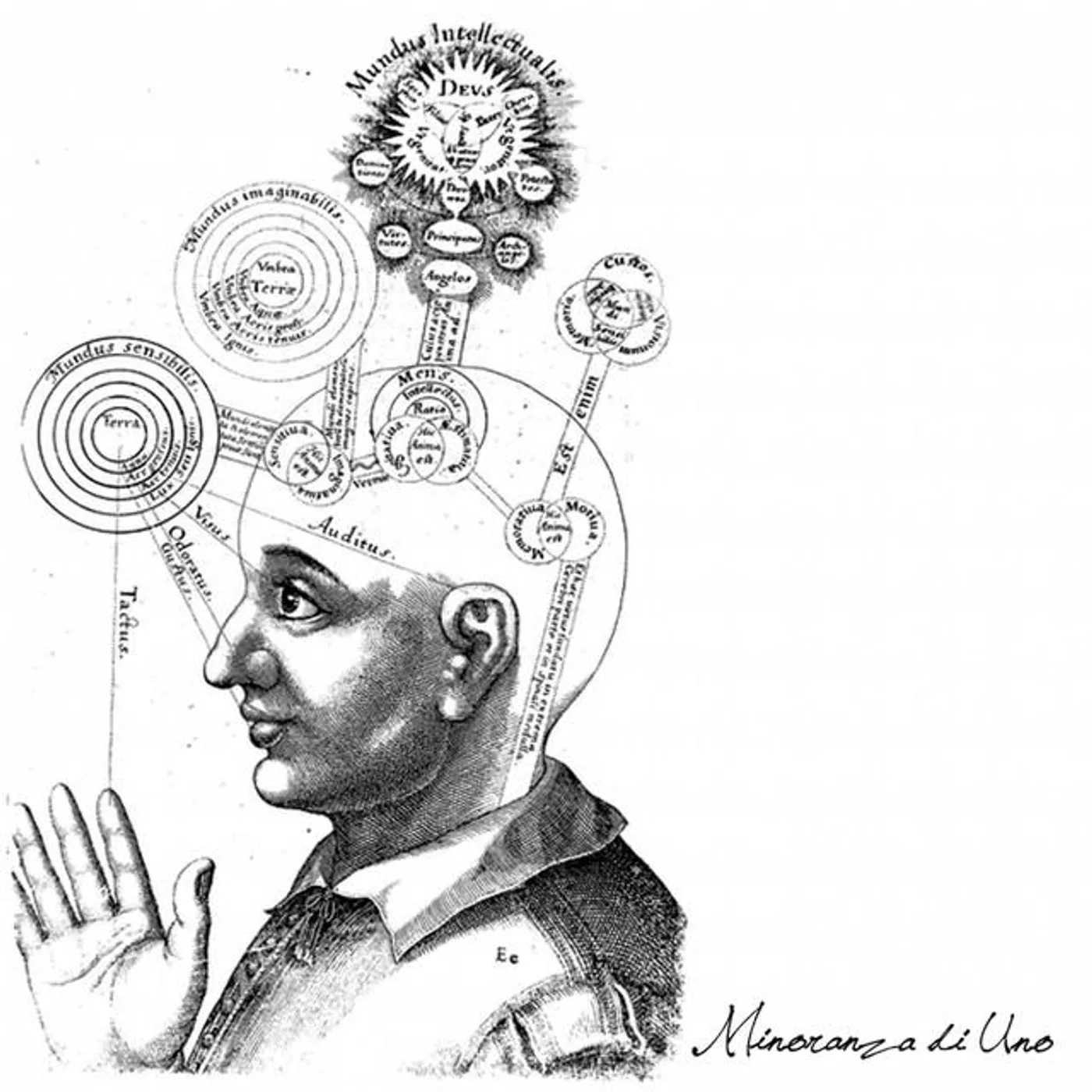 Minoranza Di Uno