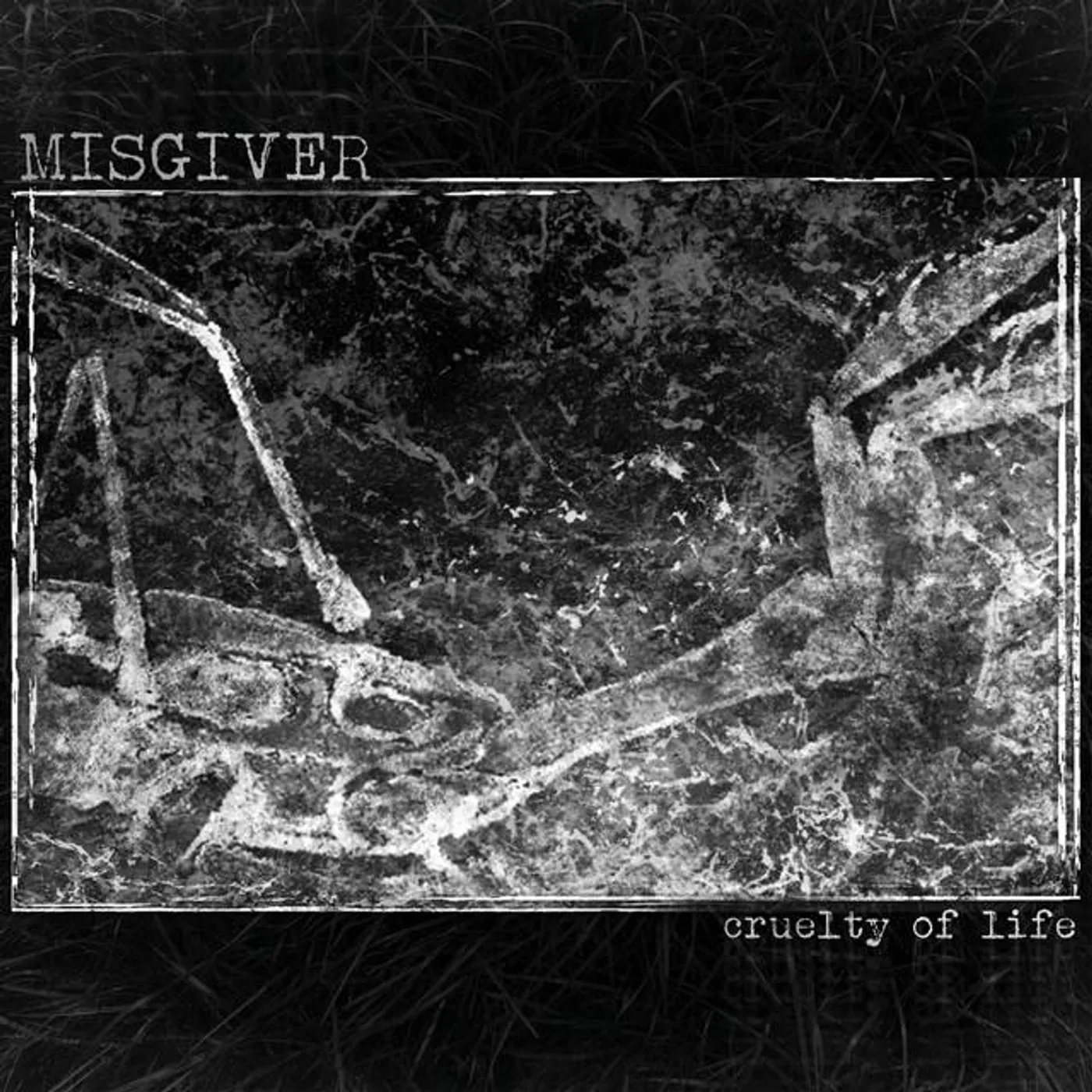 Misgiver Brand Page
