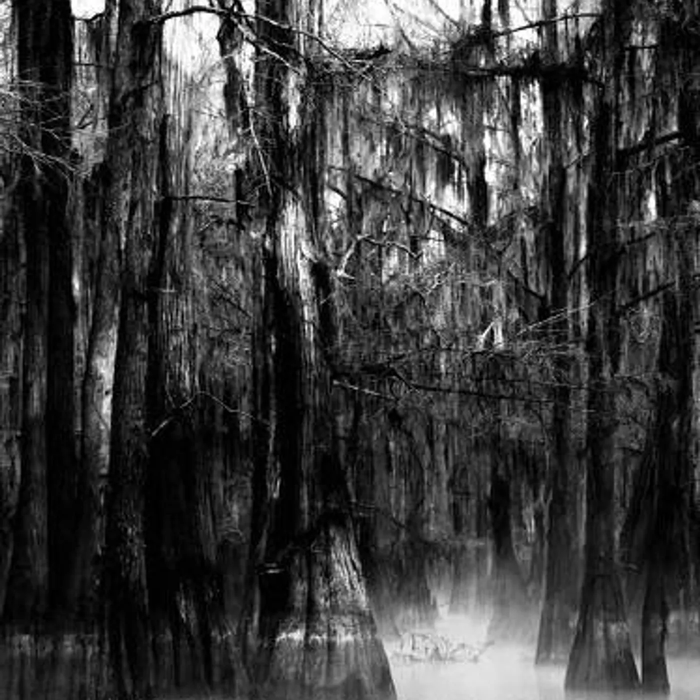 Mississippi Twilight Brand Page