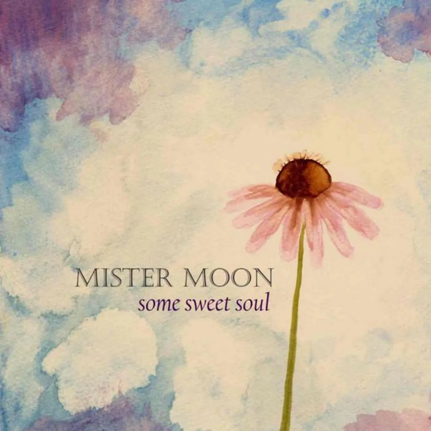 Mister Moon