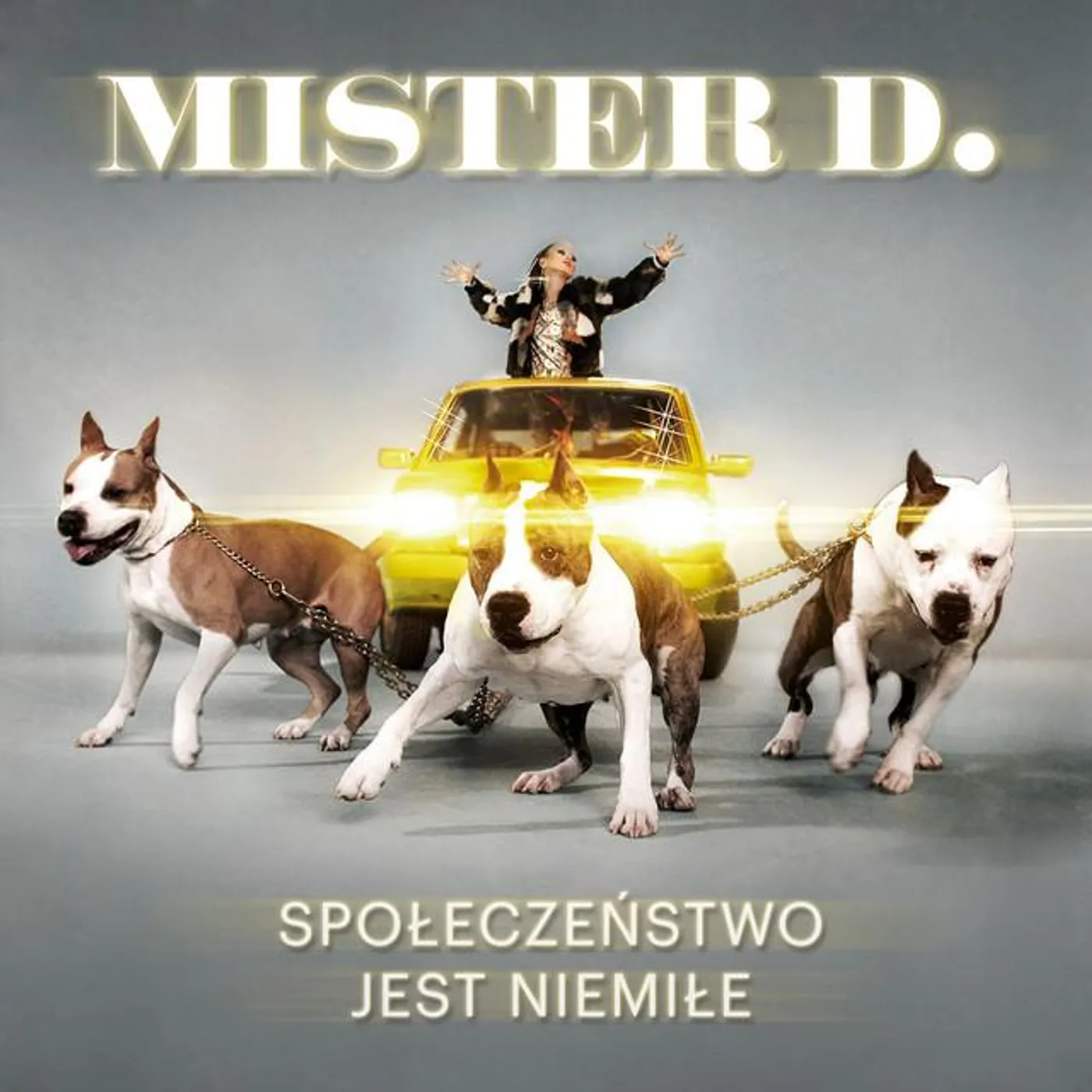 Mister D. Brand Page