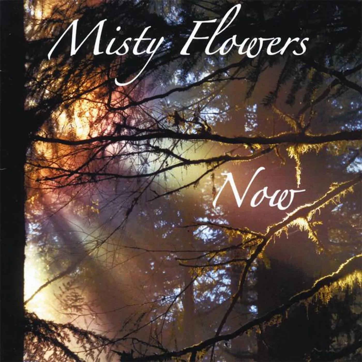Misty Flowers Brand Page